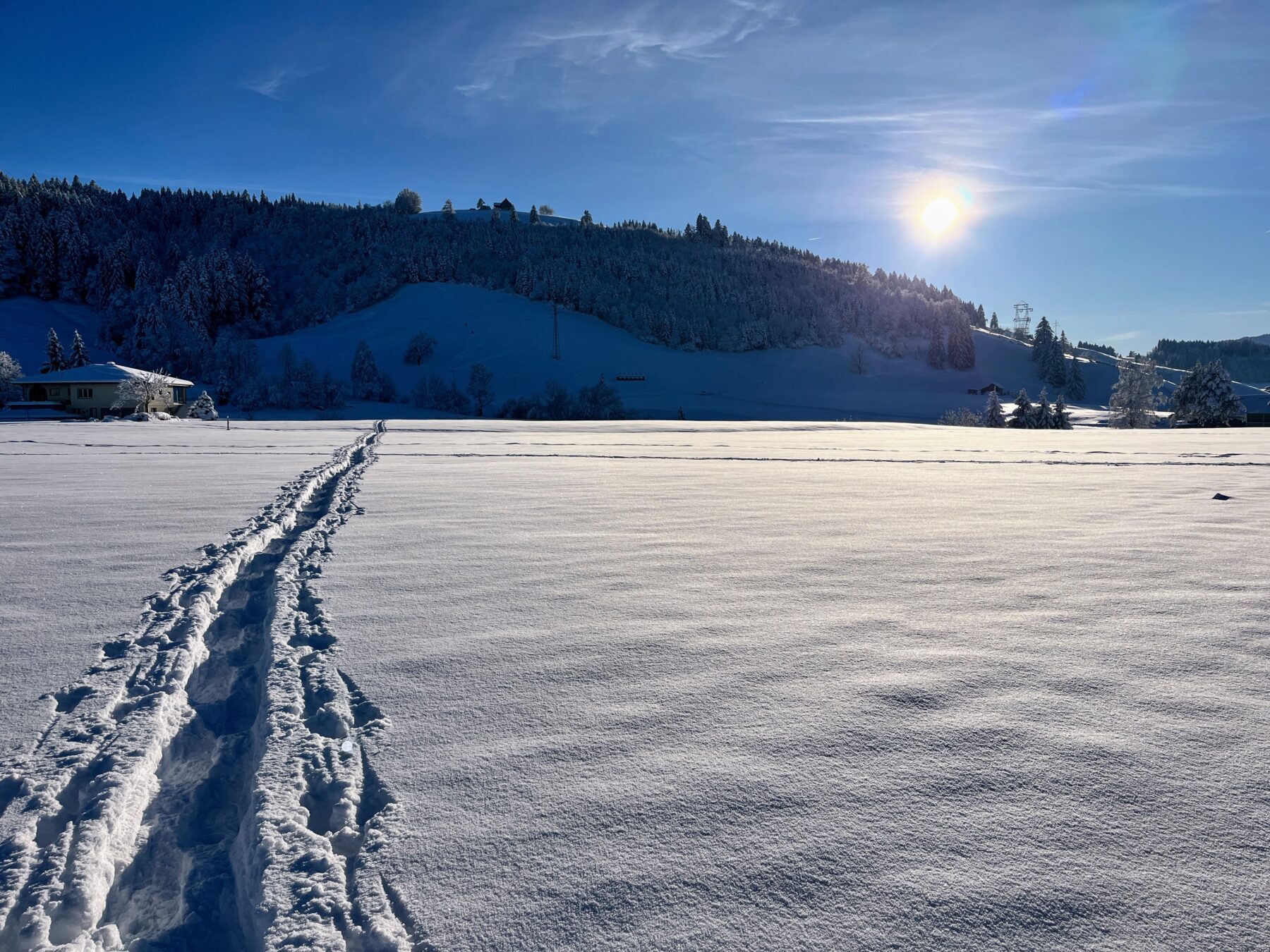 schneeschuhwanderung_rothenthurm_ahoren_biberbrugg__IMG_2426