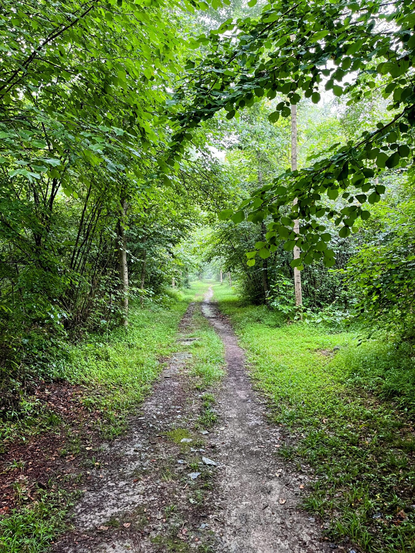 trans-swiss-trail-etappe-28-biasca-bellinzona-