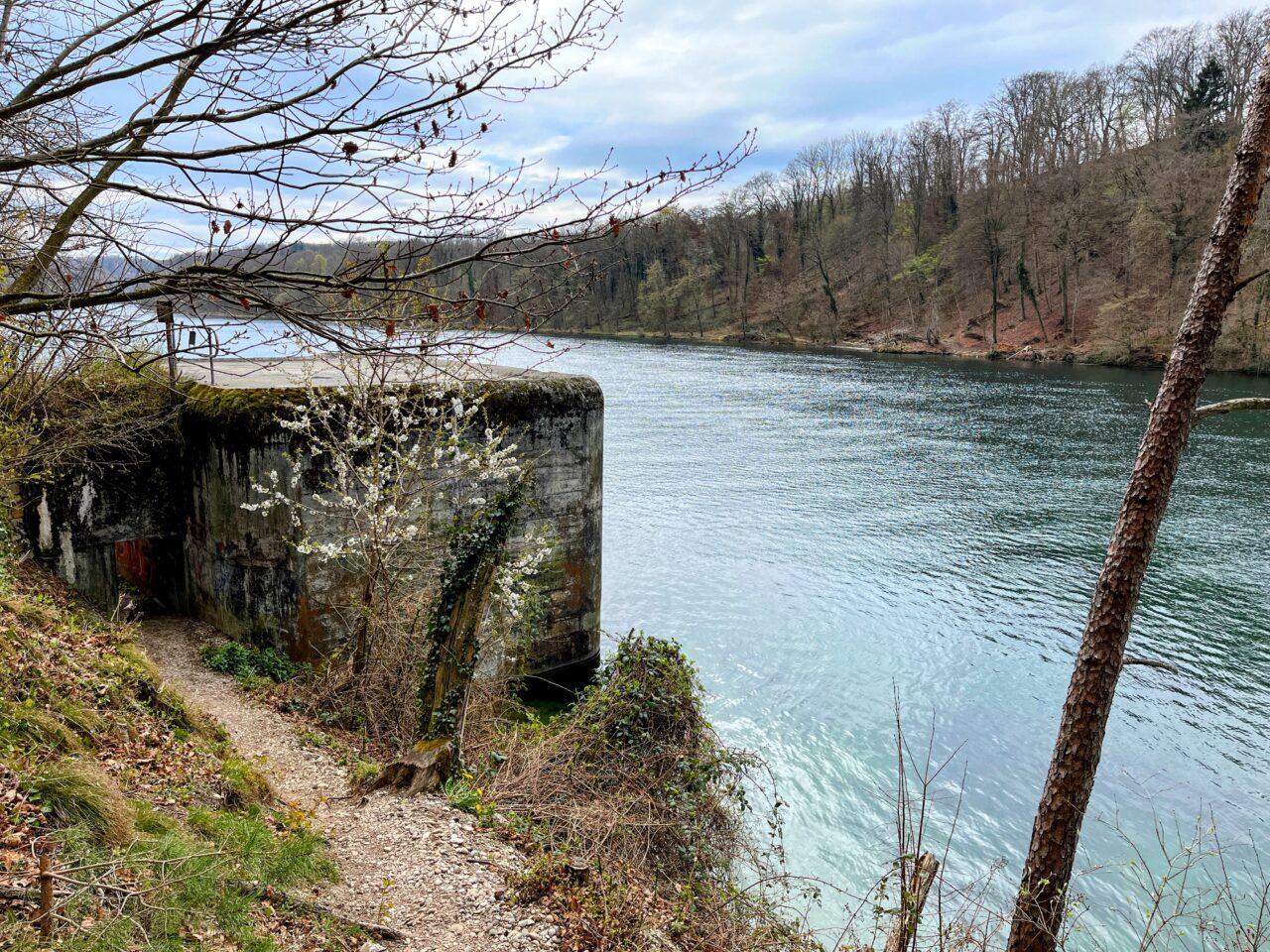 wanderung_rheinau_rheinfall_schaffhausen_