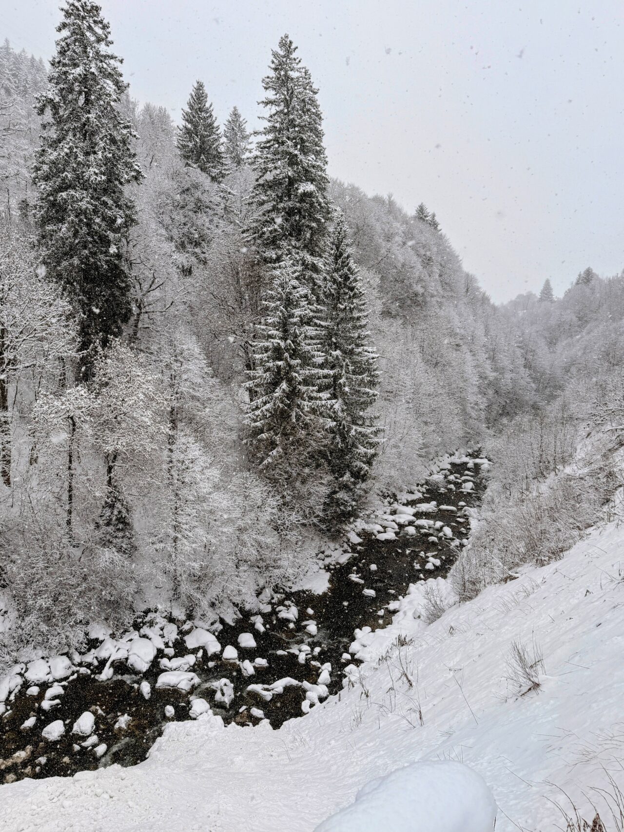 schneeschuhwanderung_klosters_schlappin__IMG_8843