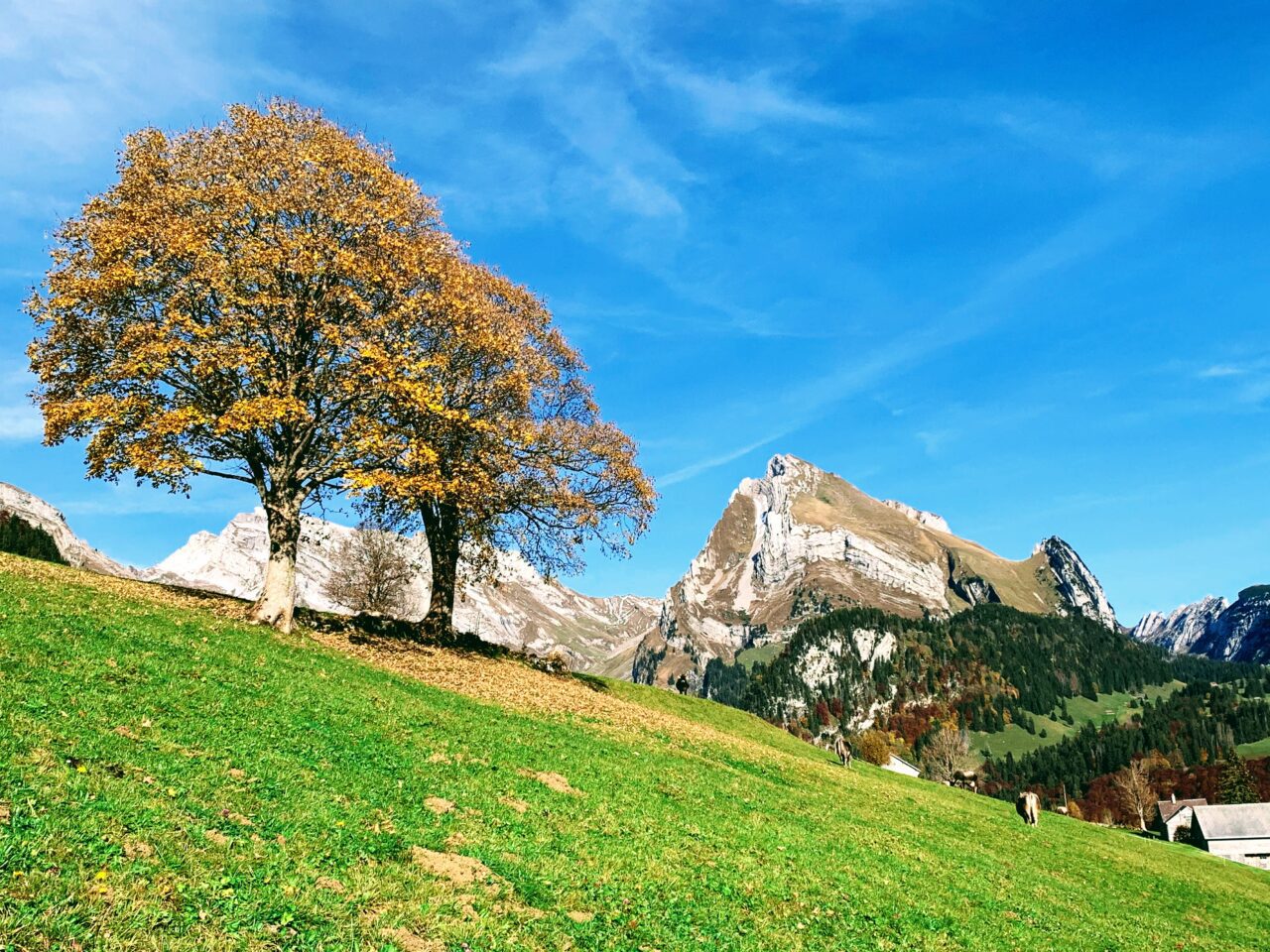 wanderung_thurwasserfaelle_graeppelensee_