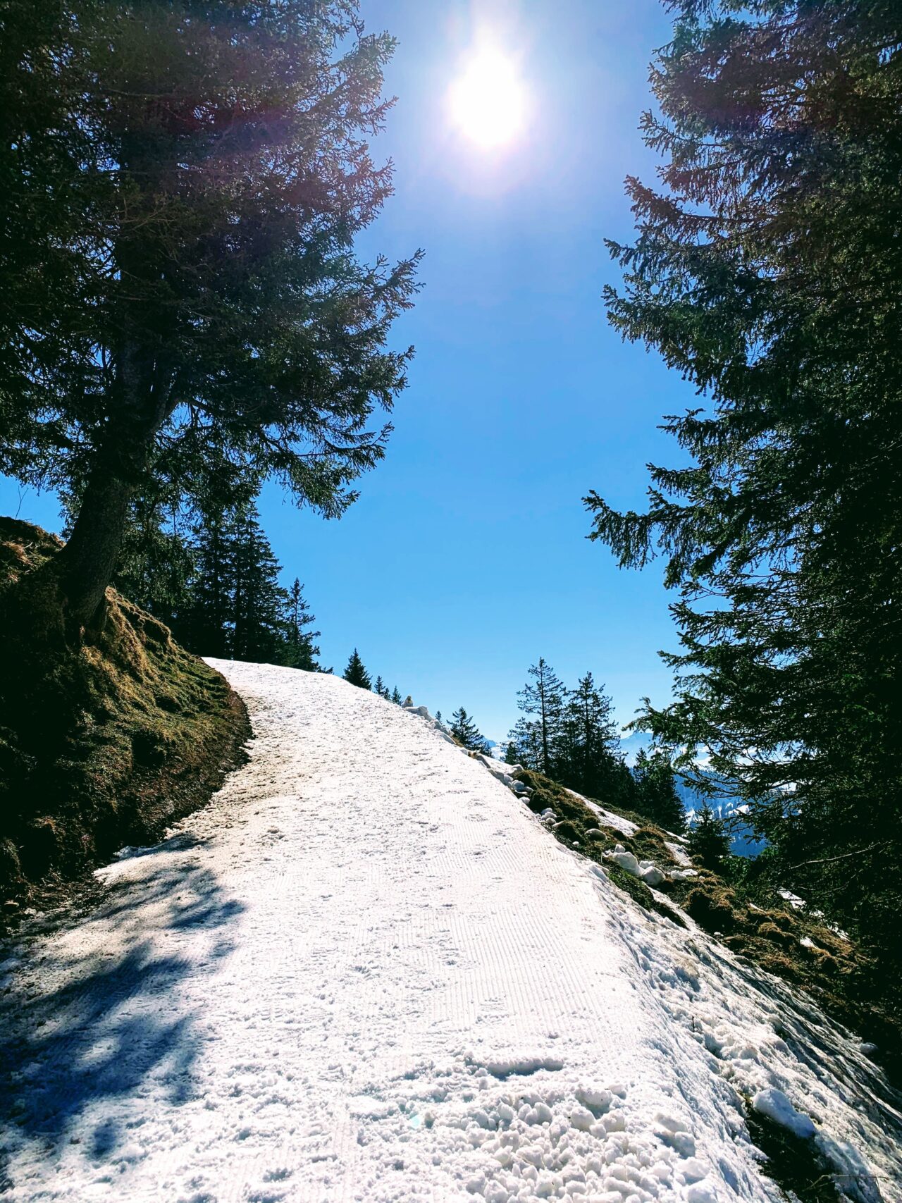 winterwandern_rigi_