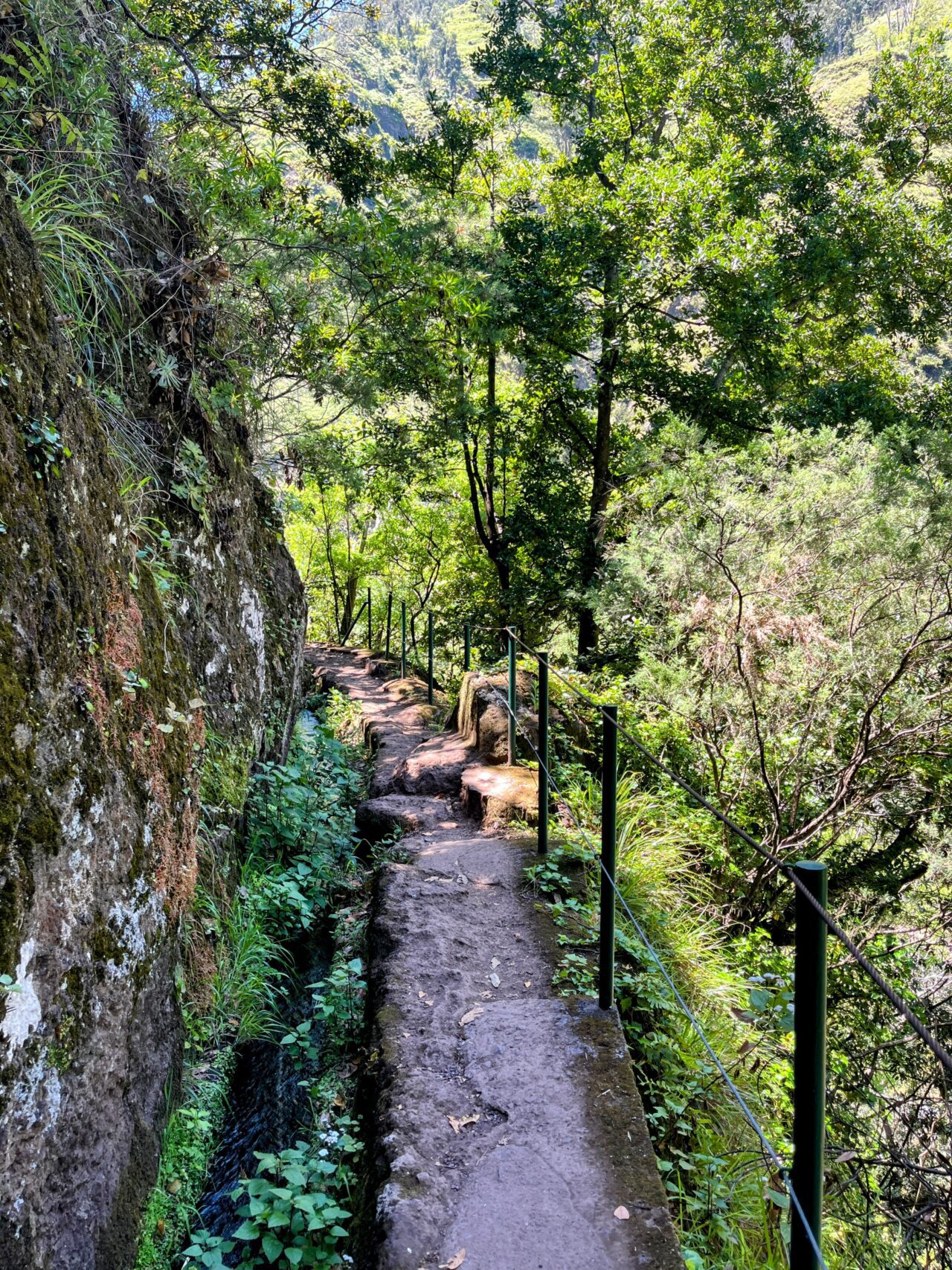 wanderung_levada_nova_levada_moinho_