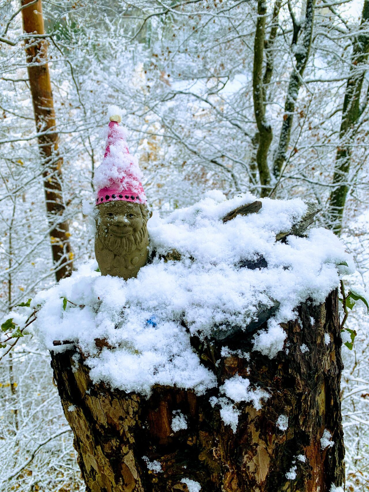 via_alpina_etappe_1_gaflei_sargans_