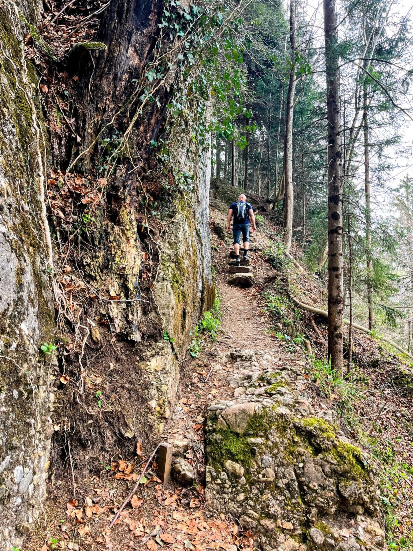 wanderung_weggis_rigi_