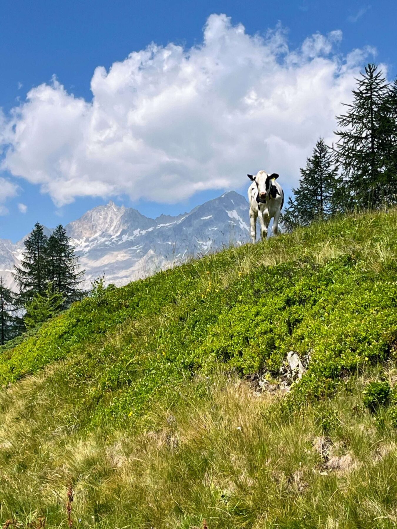 wanderung_alpenpässeweg_airolo_allacqua_