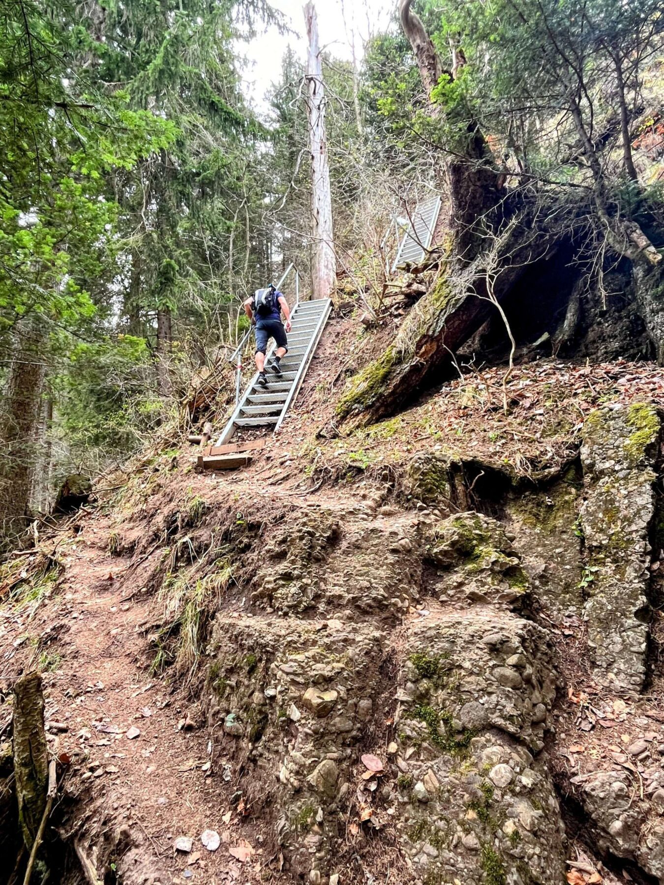 wanderung_weggis_rigi_