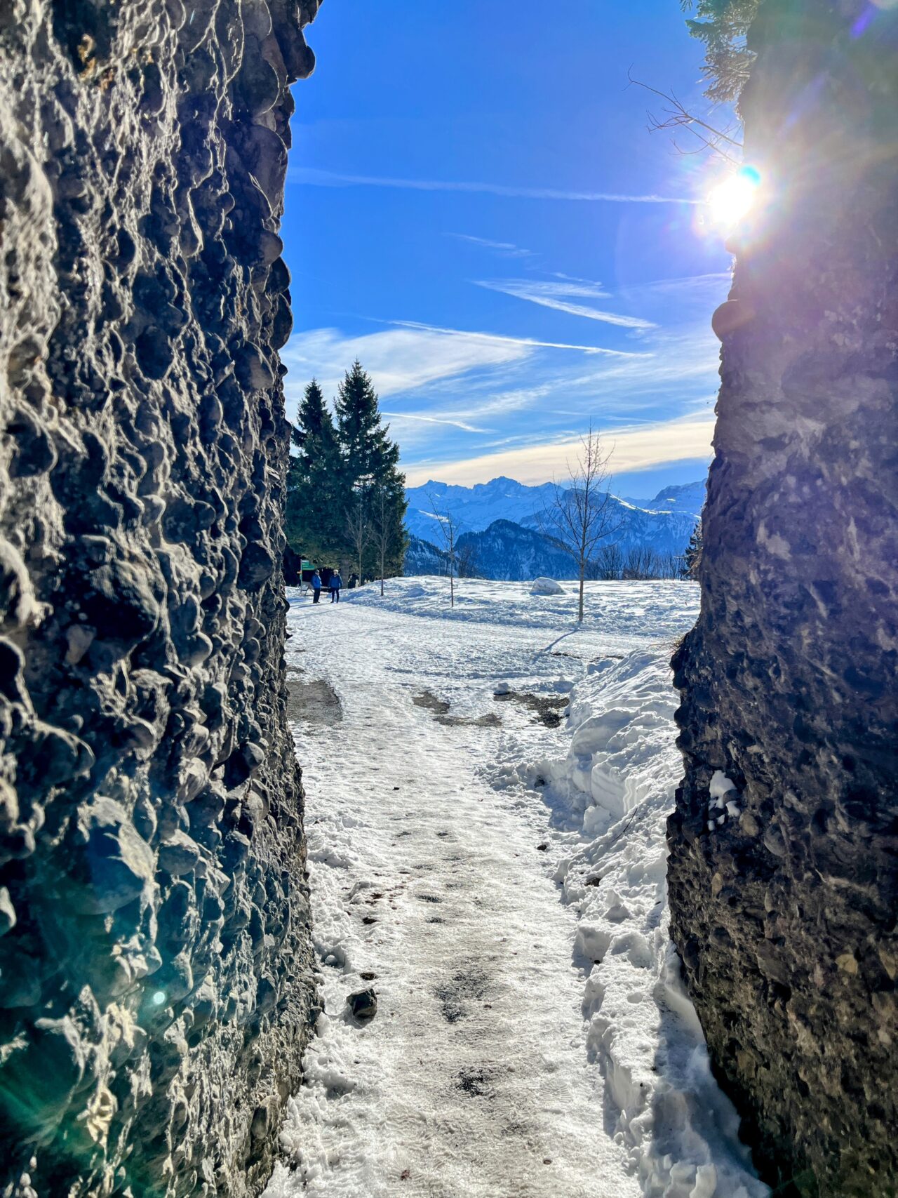 winterwandern_rigi_
