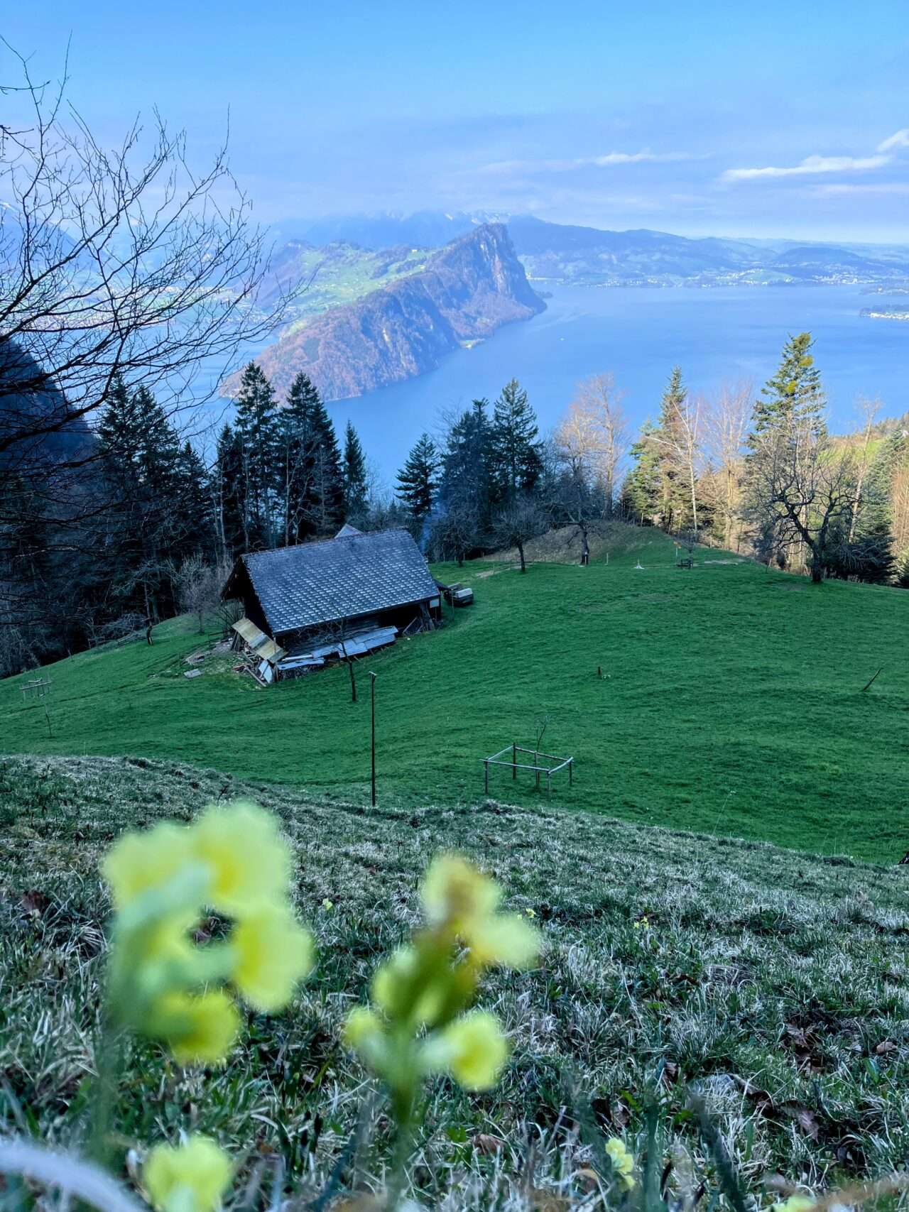 wanderung_vitznau_gersauerstock_vitznauerstock_