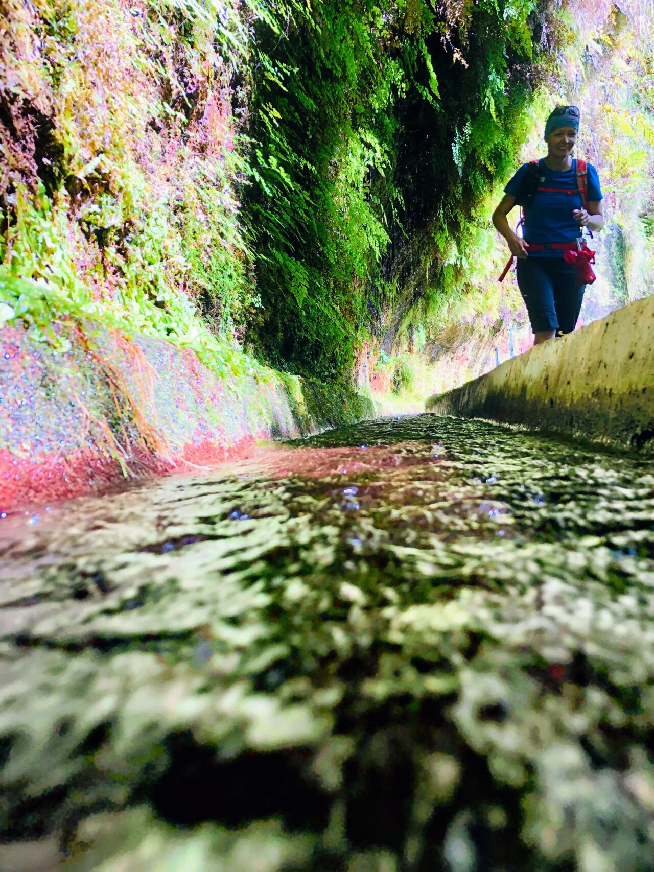 wanderung_levada_do_rei_pr18_