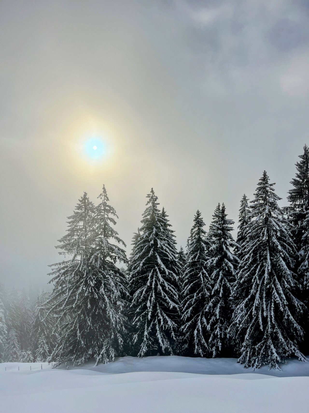 schneeschuhwanderung_wildspitz__IMG_2215