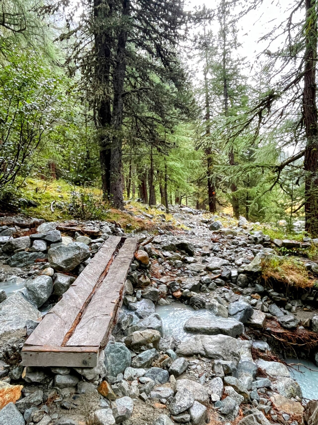 wanderung_bernina_trek_tag_4_murtel_val_roseg_