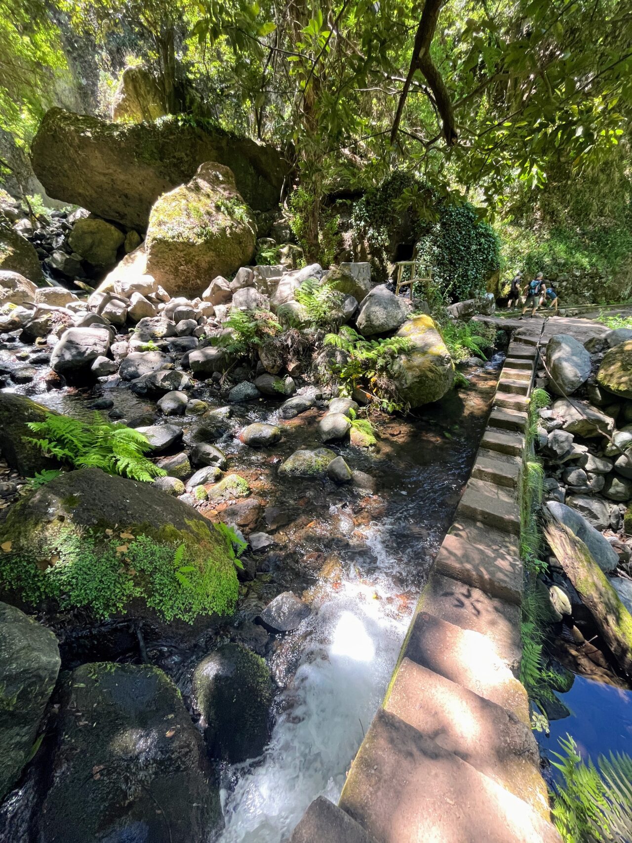 wanderung_levada_nova_levada_moinho_