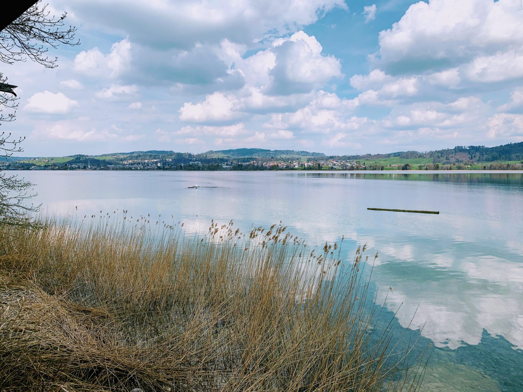 umrundung_pfaeffikersee_