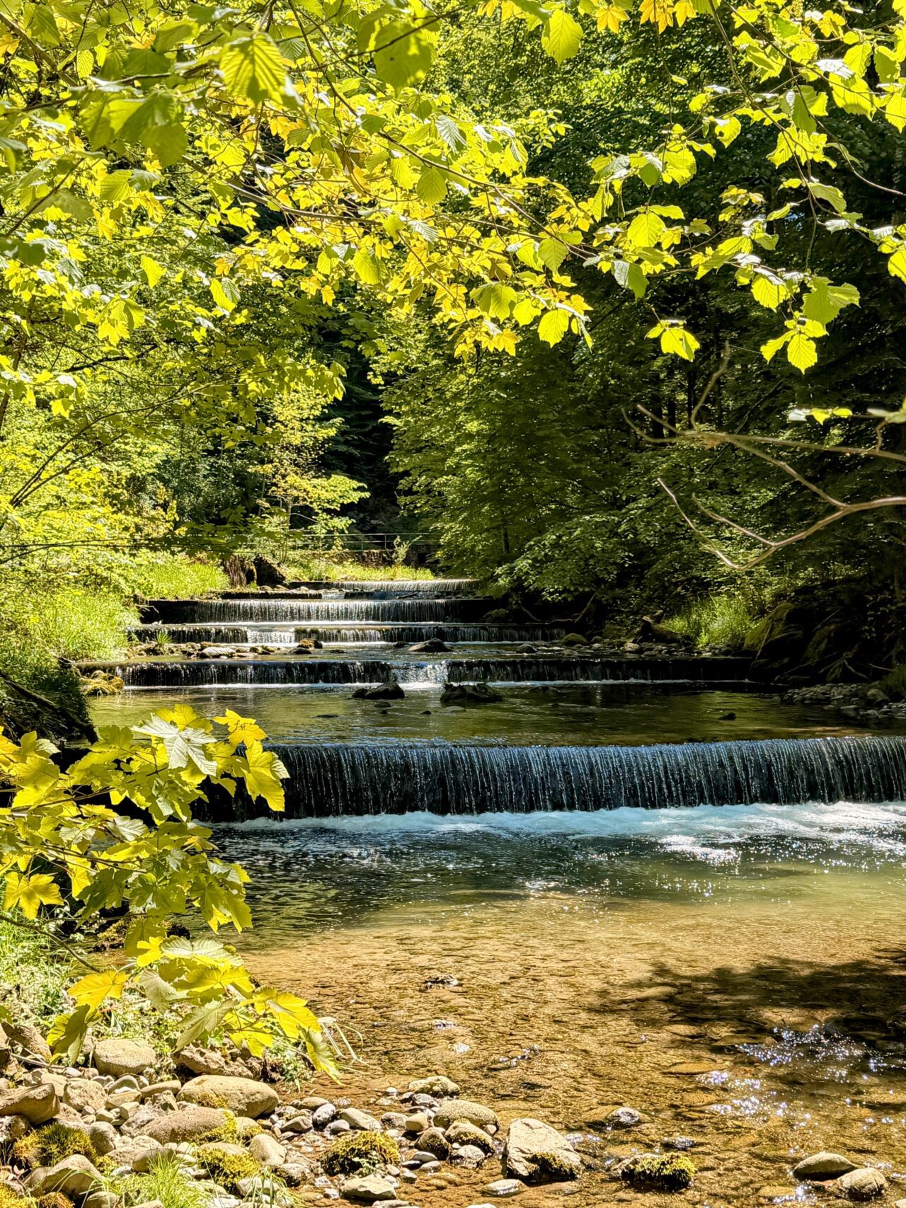 wanderung_lorzentobel_