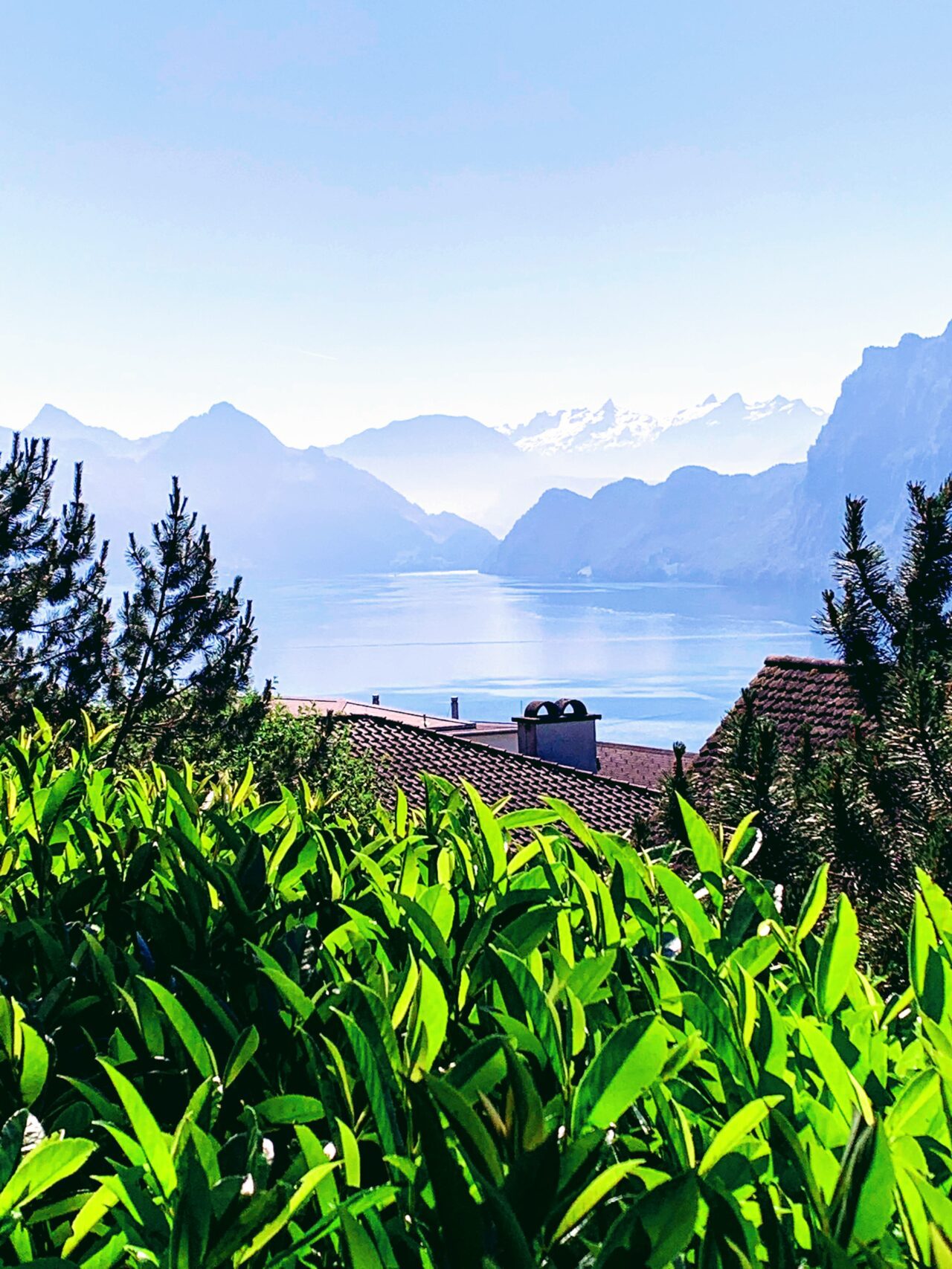 wanderung_vierwaldstaettersee_luzern_alpnachstad_