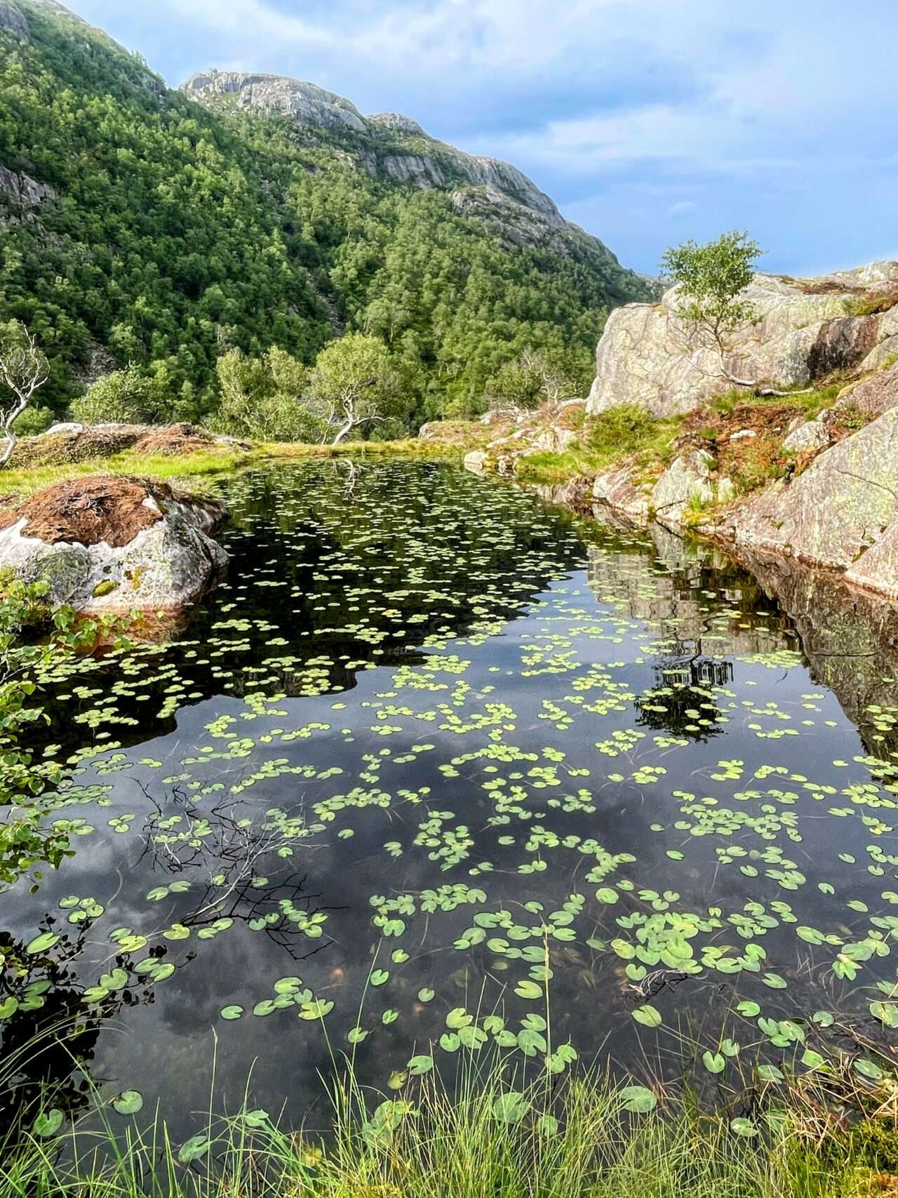 wanderung_eikeskog_blafjellenden_