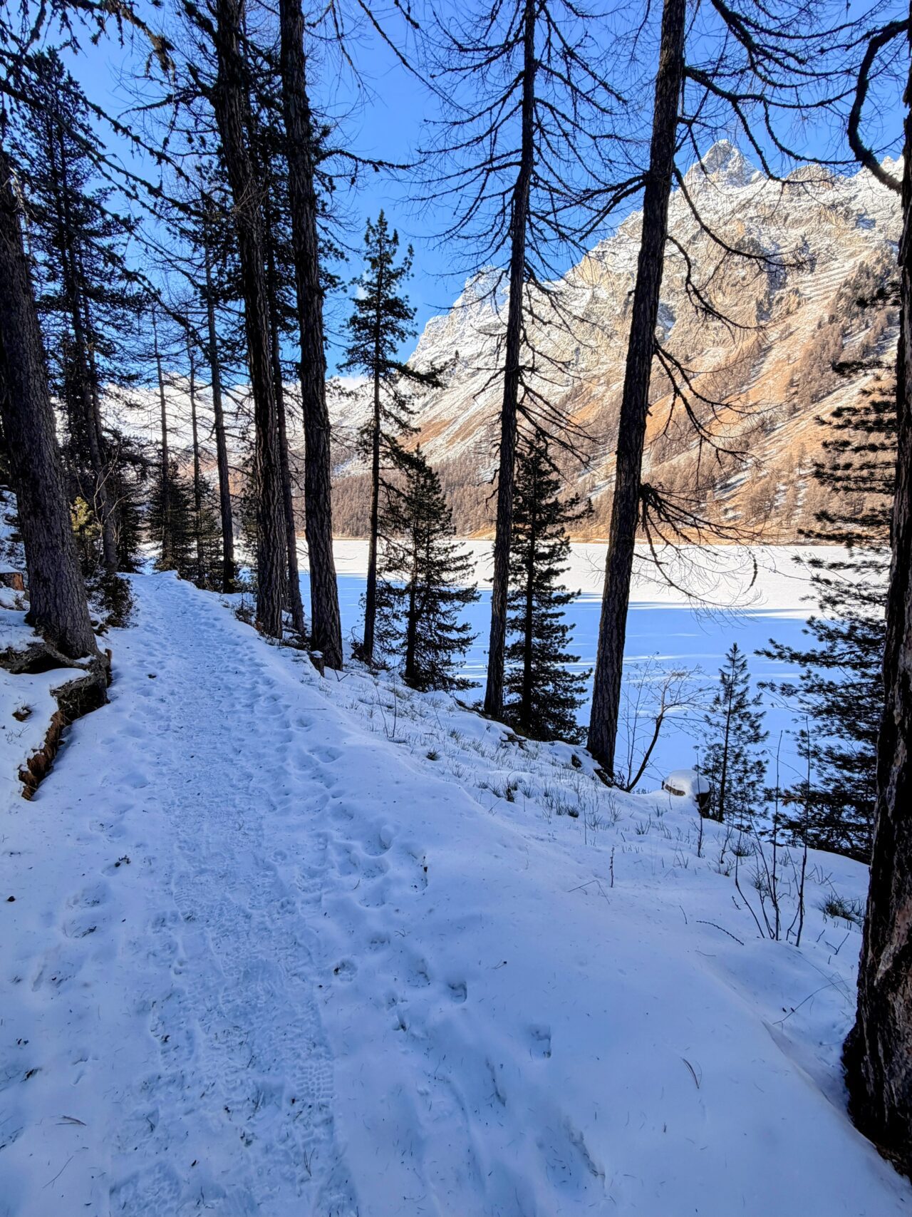 wanderung_silsersee_schwarzeis__IMG_9081