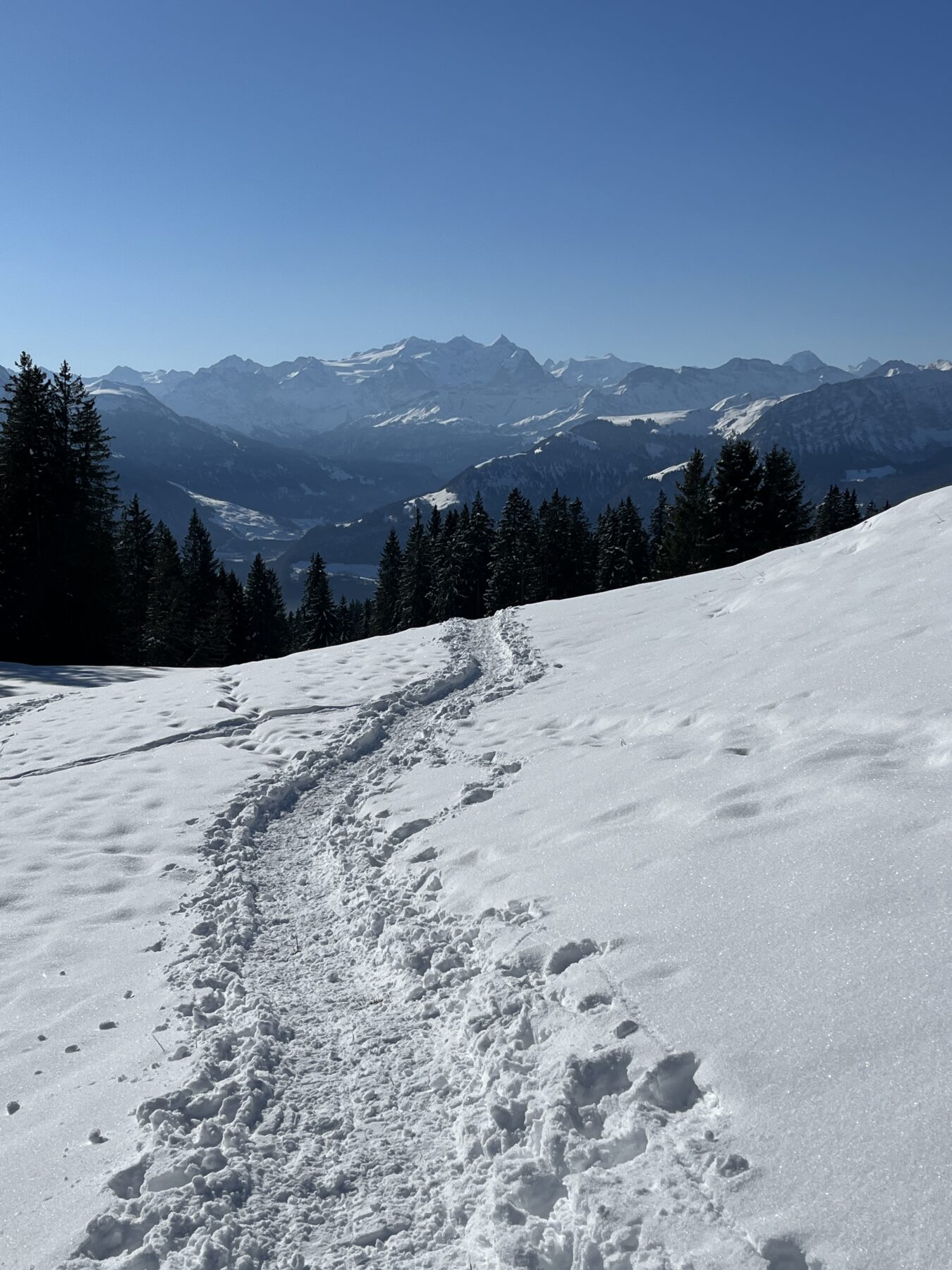 schneeschuhwandern-jaenzi-