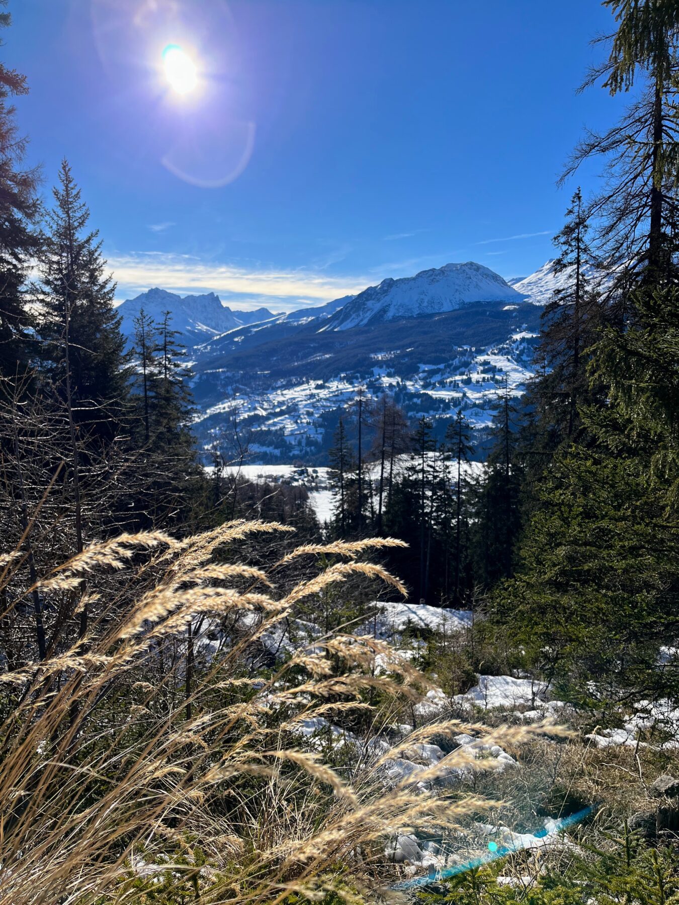 schneeschuhwandern_lantsch__IMG_0291