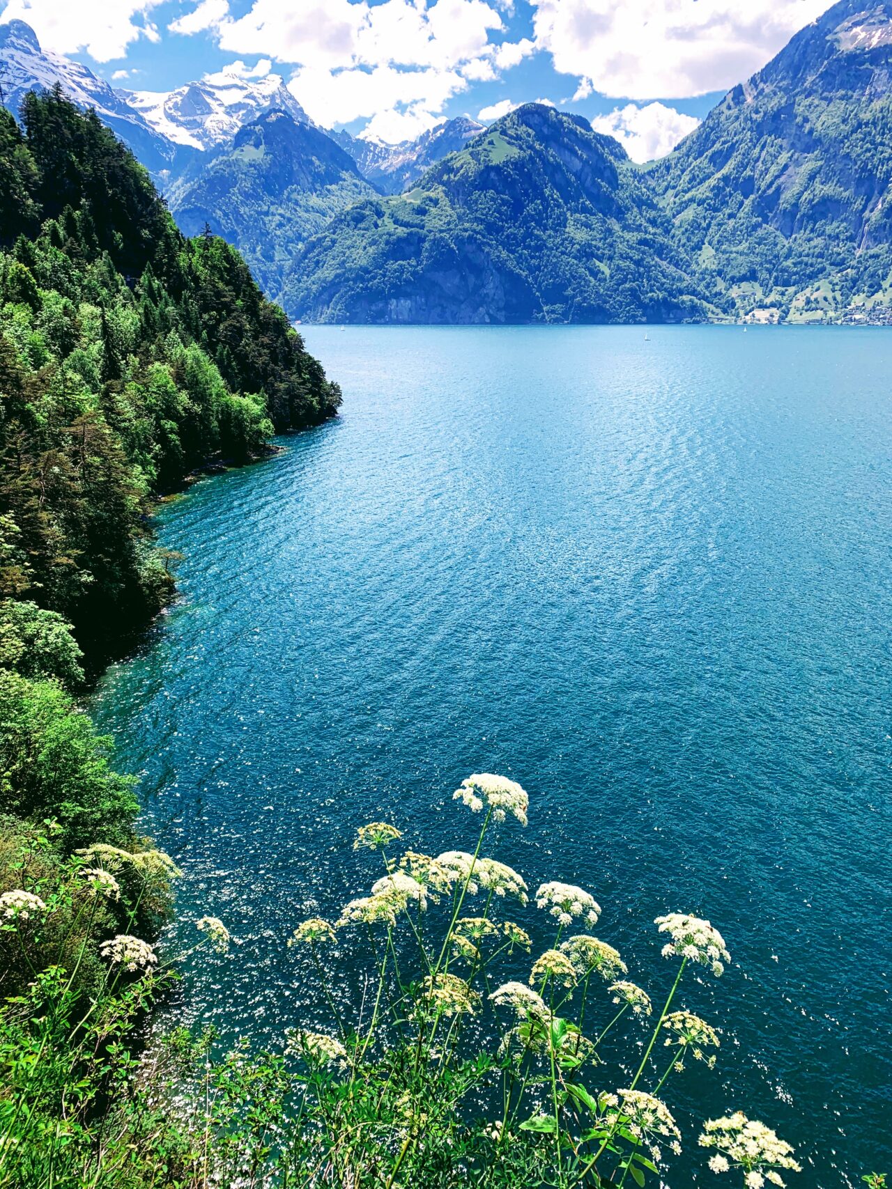 wanderung_weg_der_schweiz_brunnen_flueelen_