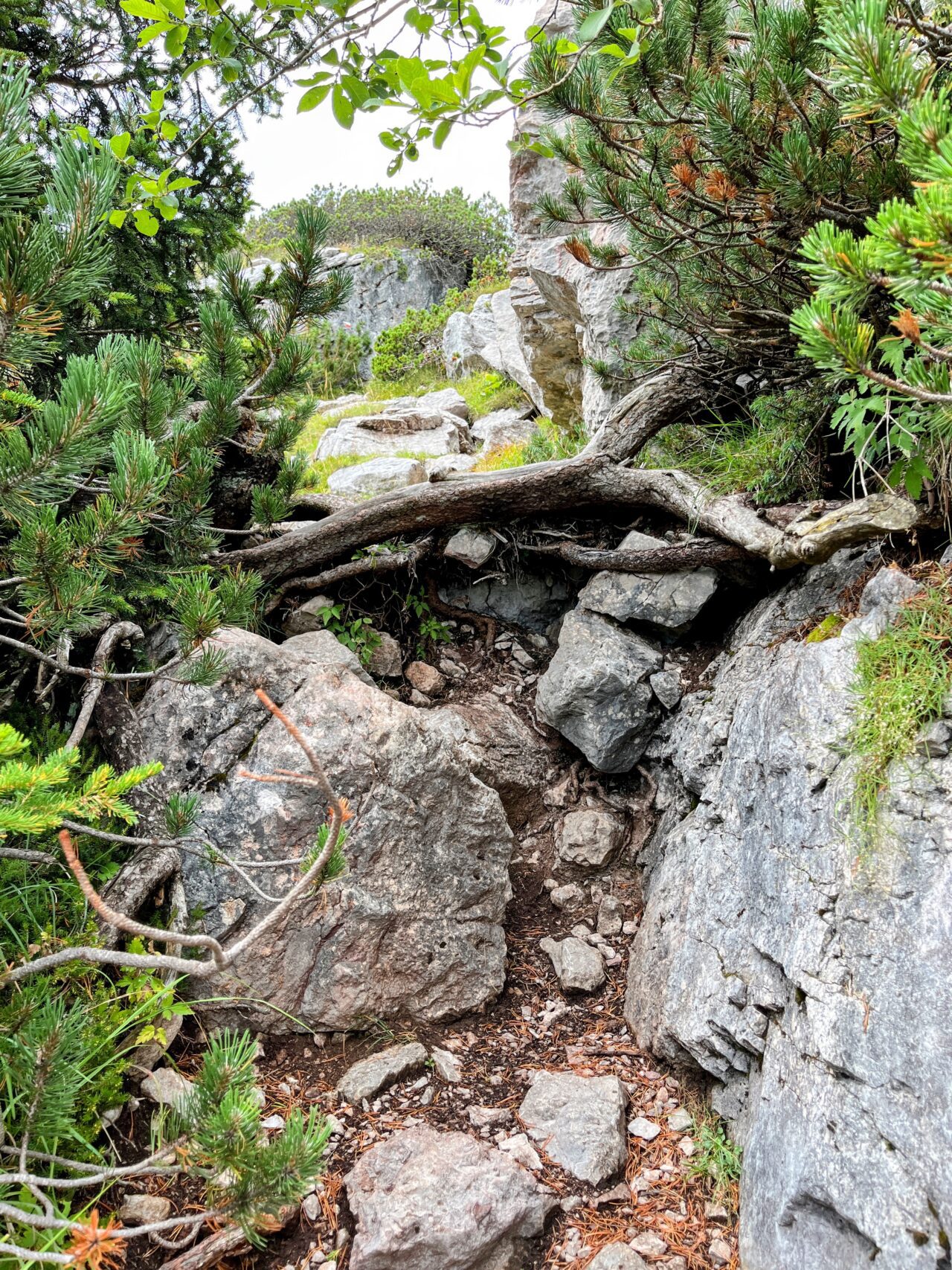 wanderung-croz-dell-altissimo-