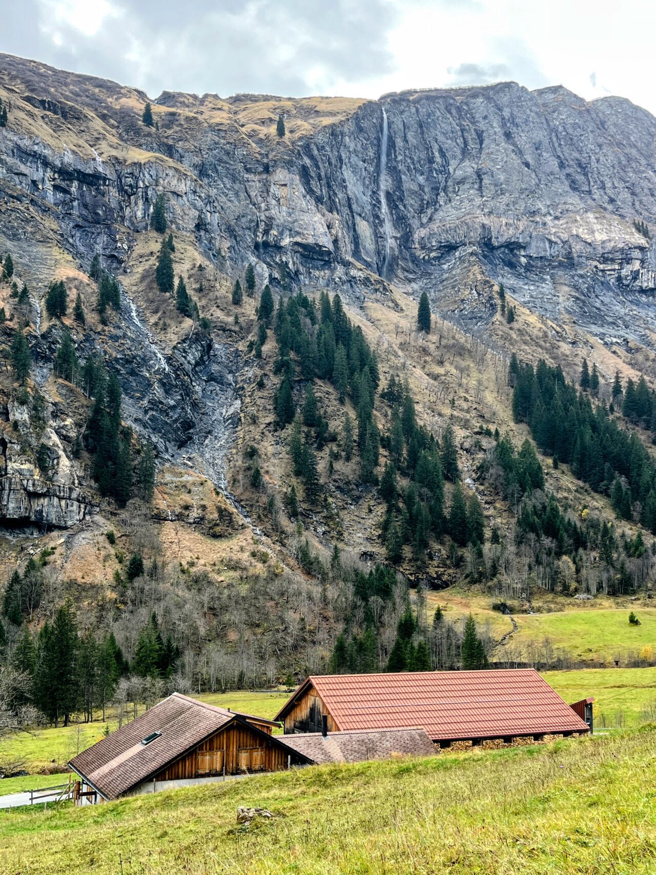 via_alpina_etappe_3_weisstannen_elm_