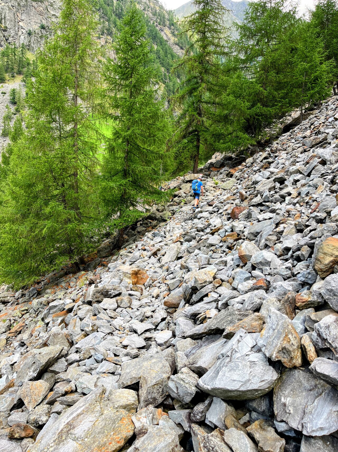 wanderung-meraner-hoehenweg-montferthof-eishof-