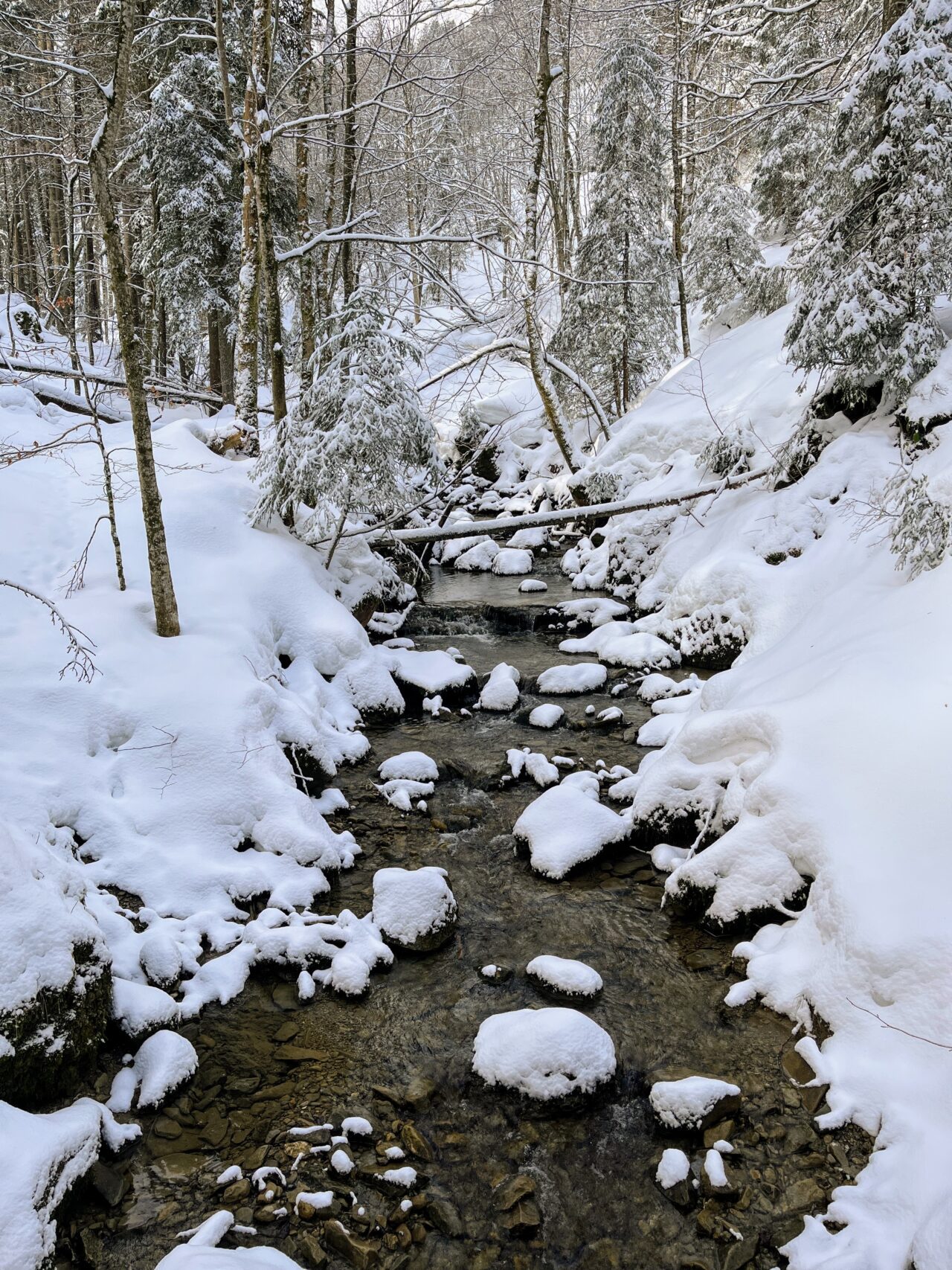 schneeschuhwandern_tanzboden__IMG_1854