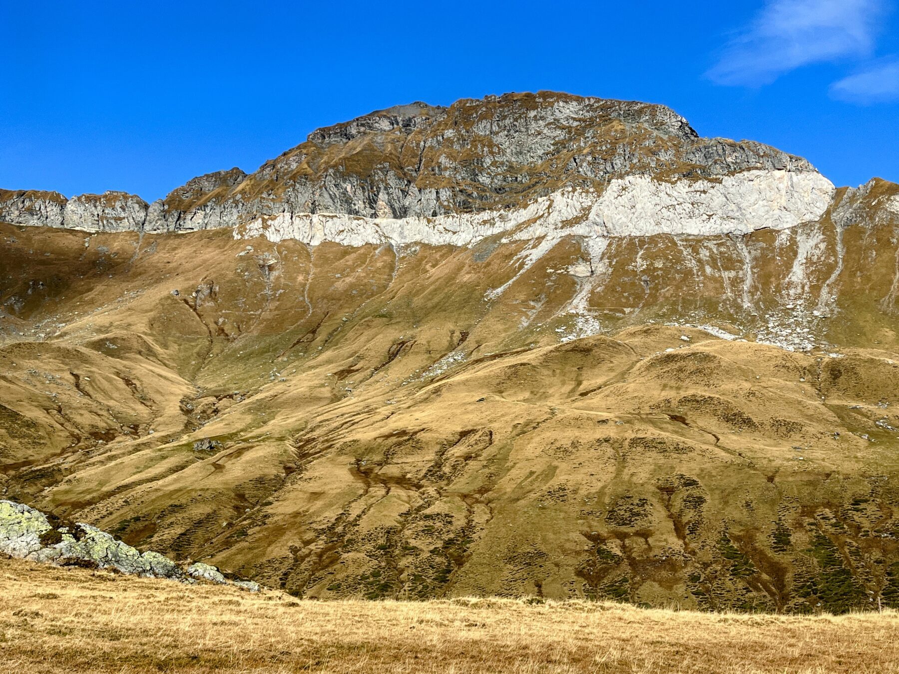 via_alpina_etappe_3_weisstannen_elm_