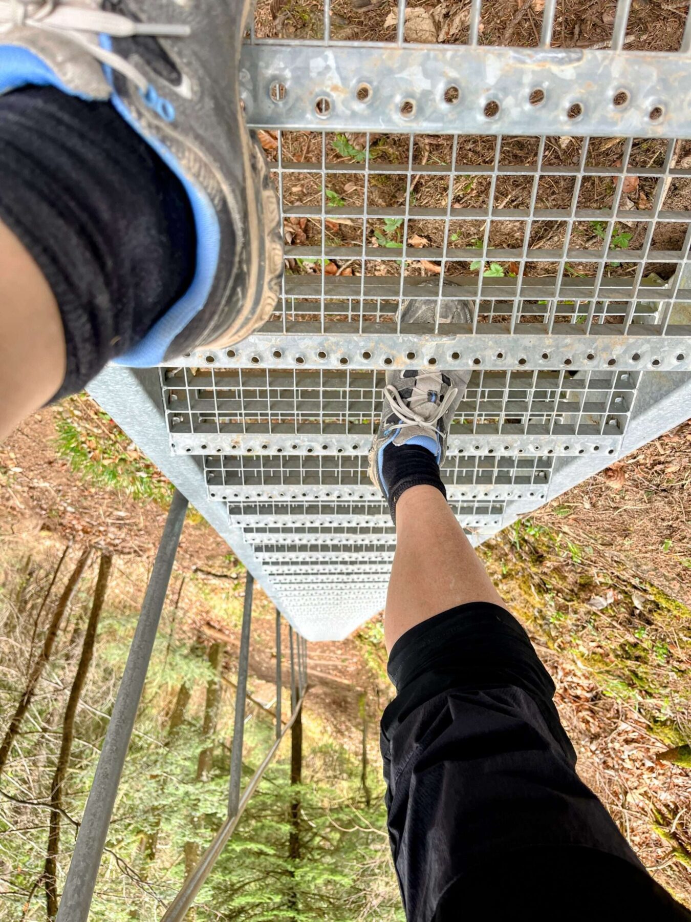 wanderung_weggis_rigi_