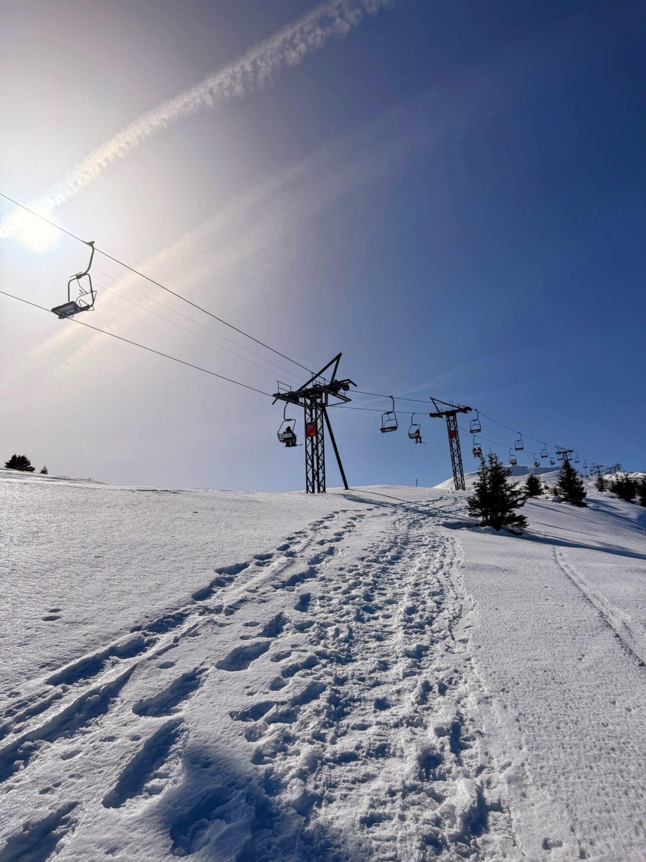schneeschuhsafari_graubuenden_braembruesch_feldis__IMG_0519