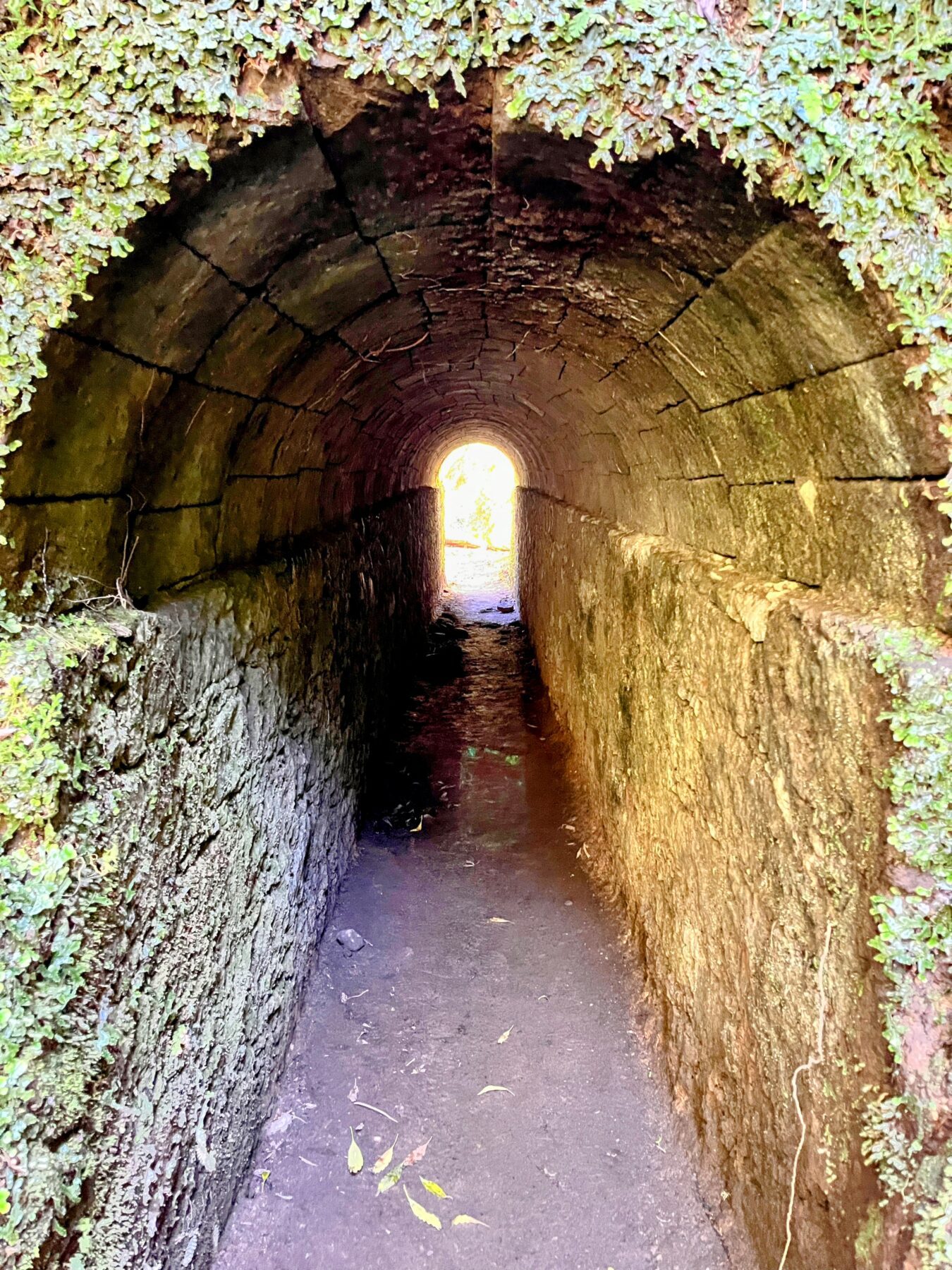 wanderung_5_huetten_panoramaweg_uri_
