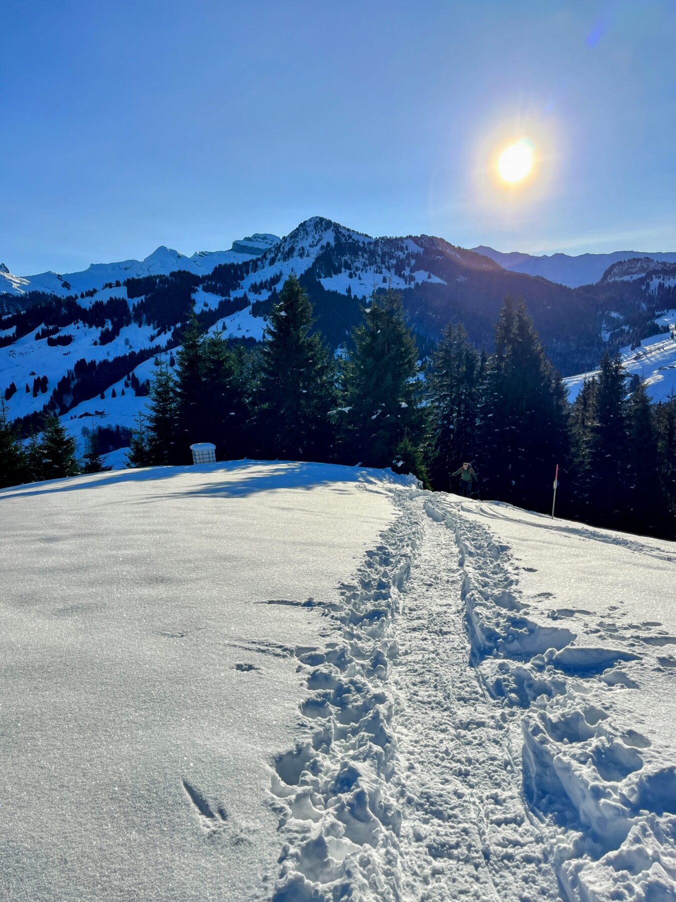 schneeschuhwanderung_oberiberg_furggelenstock__IMG_2769