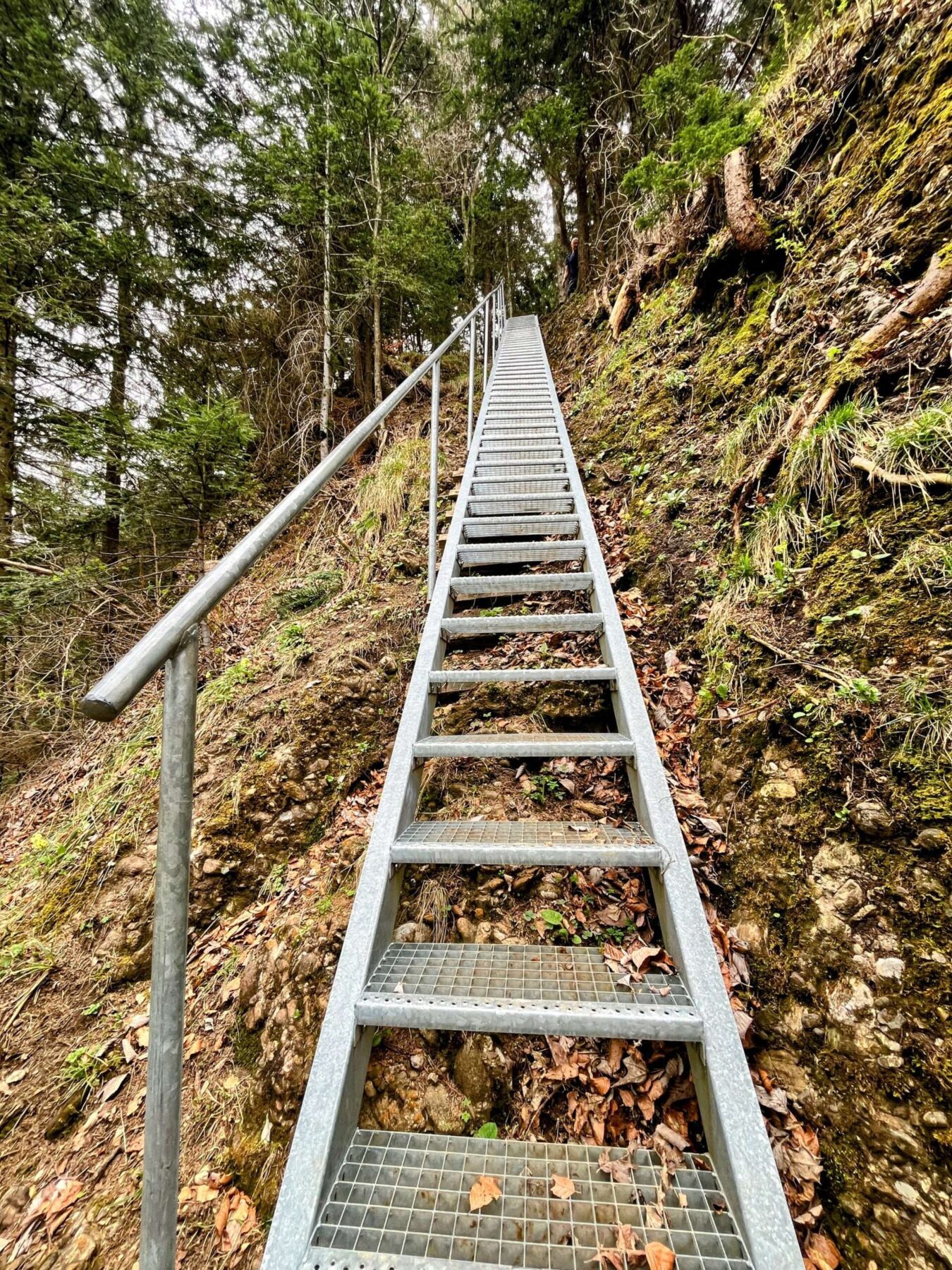 wanderung_weggis_rigi_