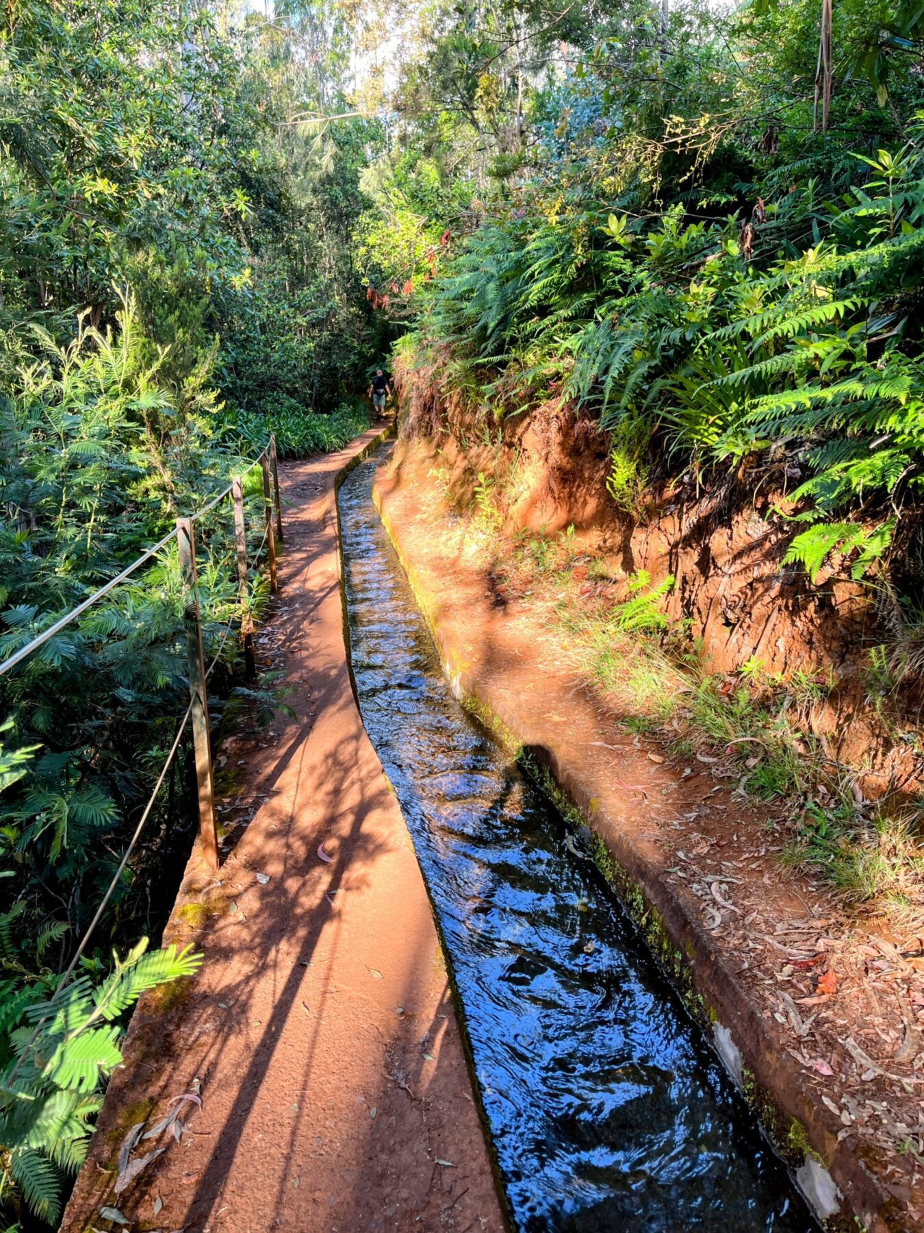 wanderung_levada_do_rei_pr18_