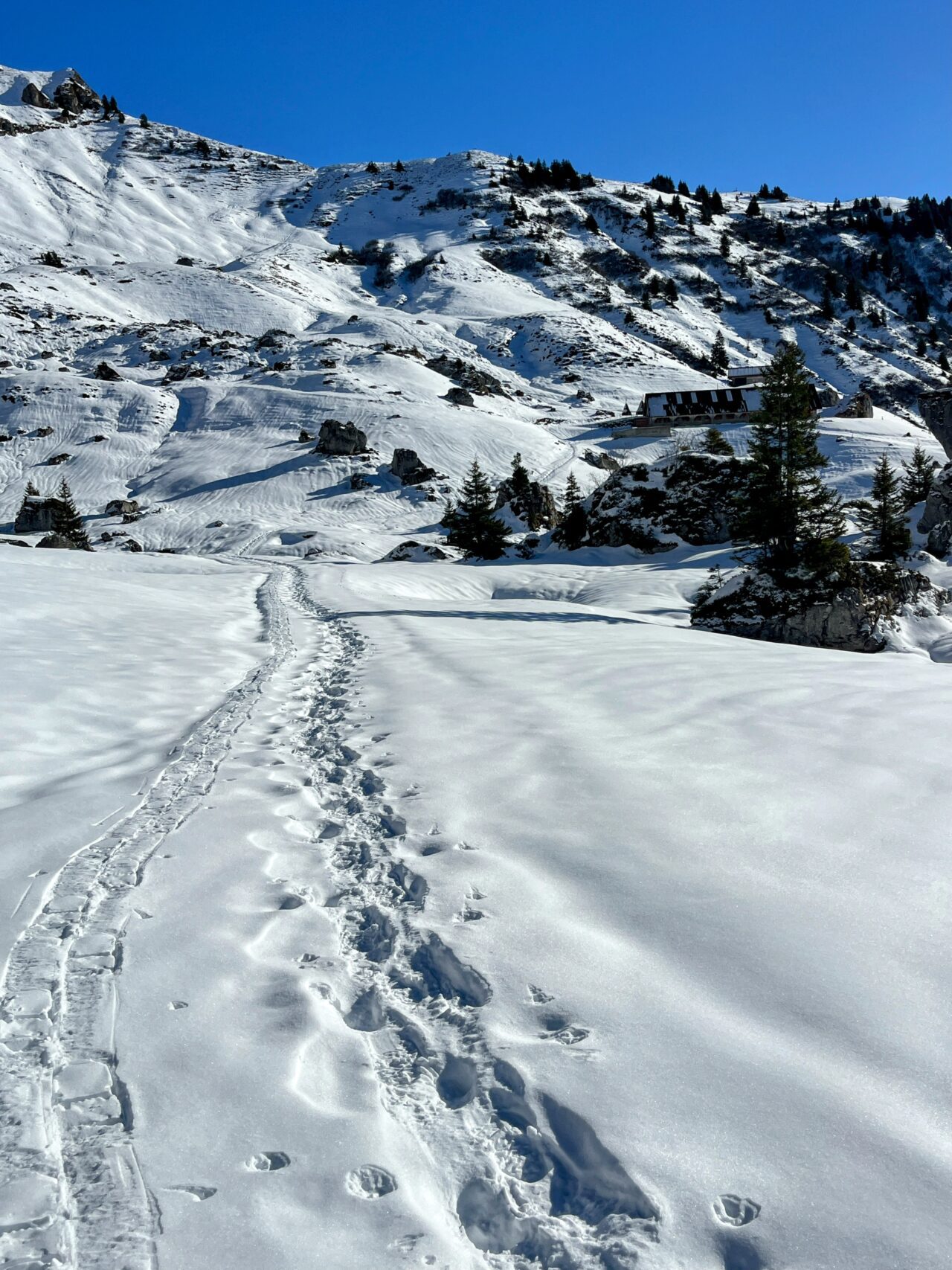 Schneeschuhe_winterwandern_eggberge_hueenderegg_ratzi__IMG_5675