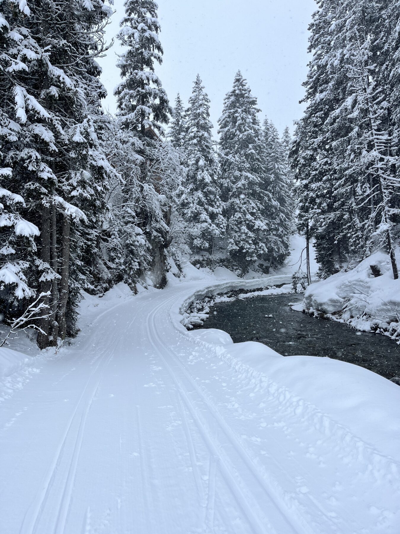 winterwanderung_lech_zug_vorderes_aelpele__IMG_4506