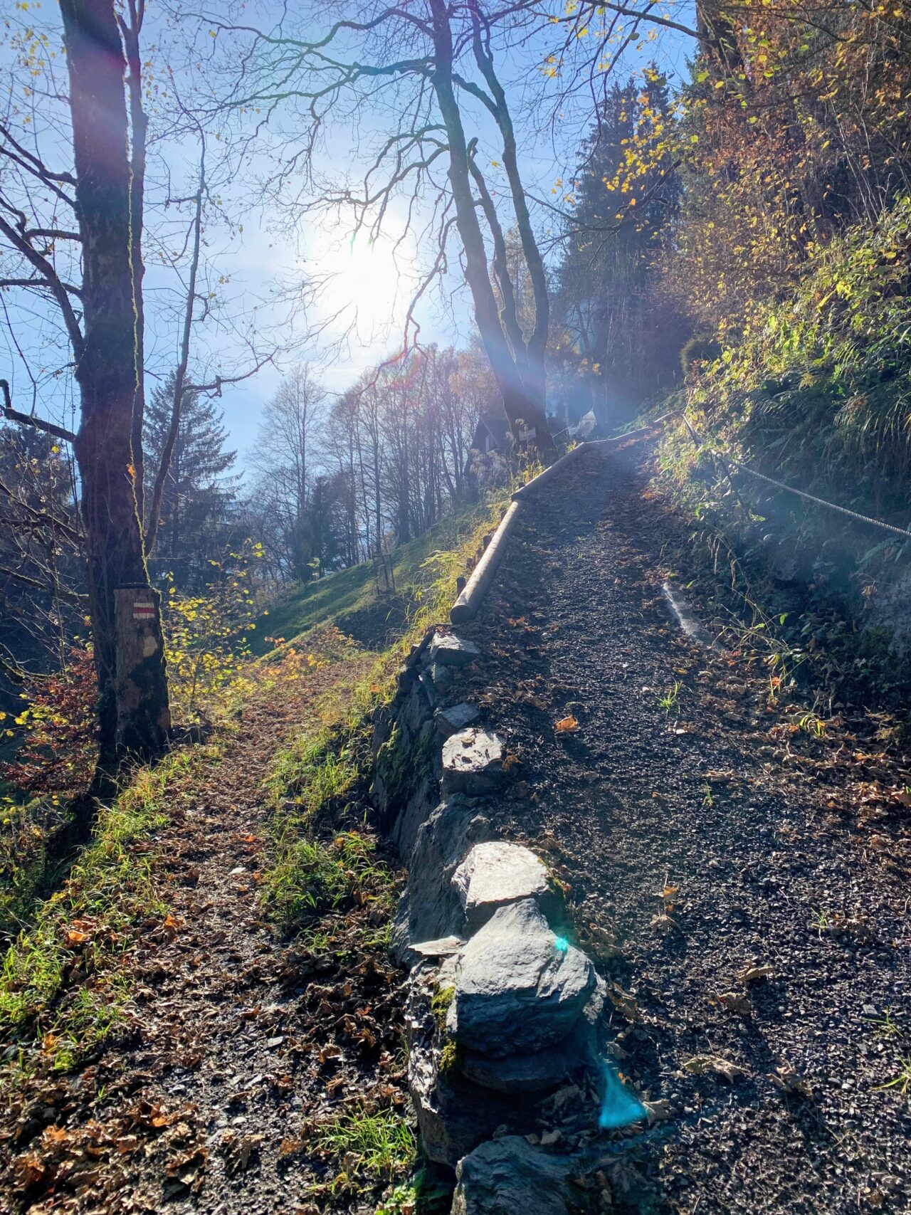 via_alpina_etappe_2_sargans_weisstannen_