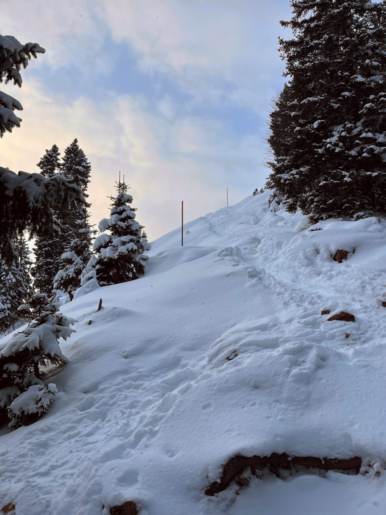 schneeschuhwanderung-furggelenstock-_IMG_9262 (Kopie)
