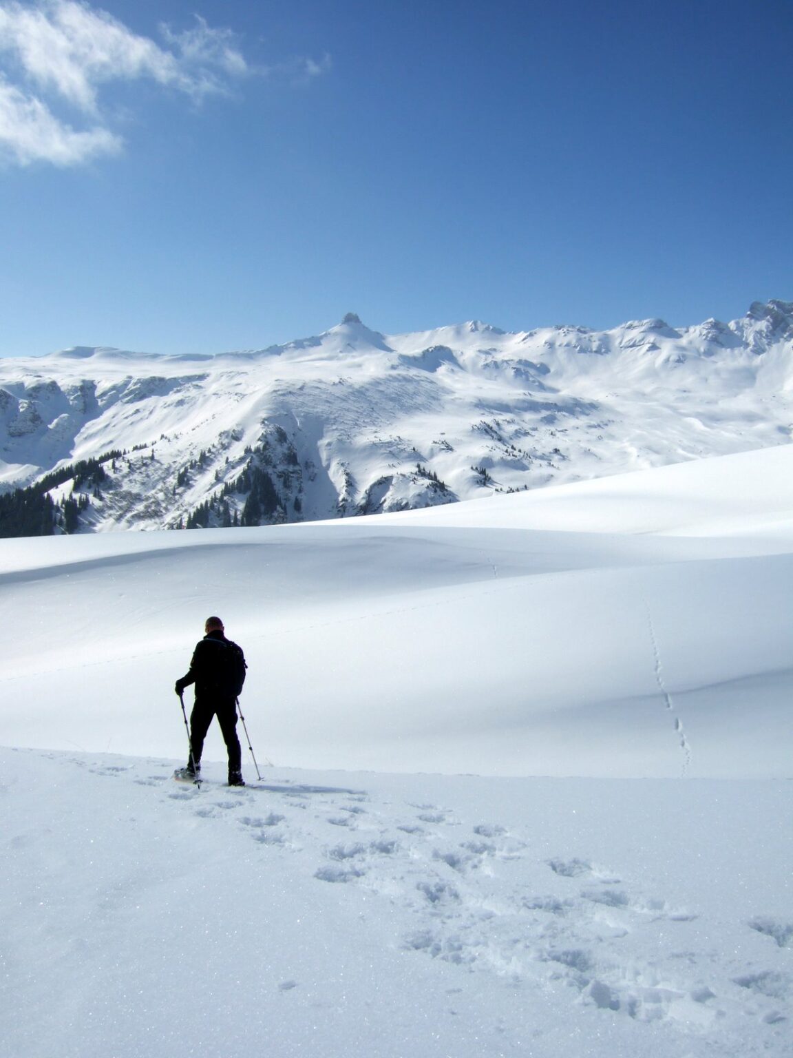 schneeschuhwanderung_spitzmeilenhuette_