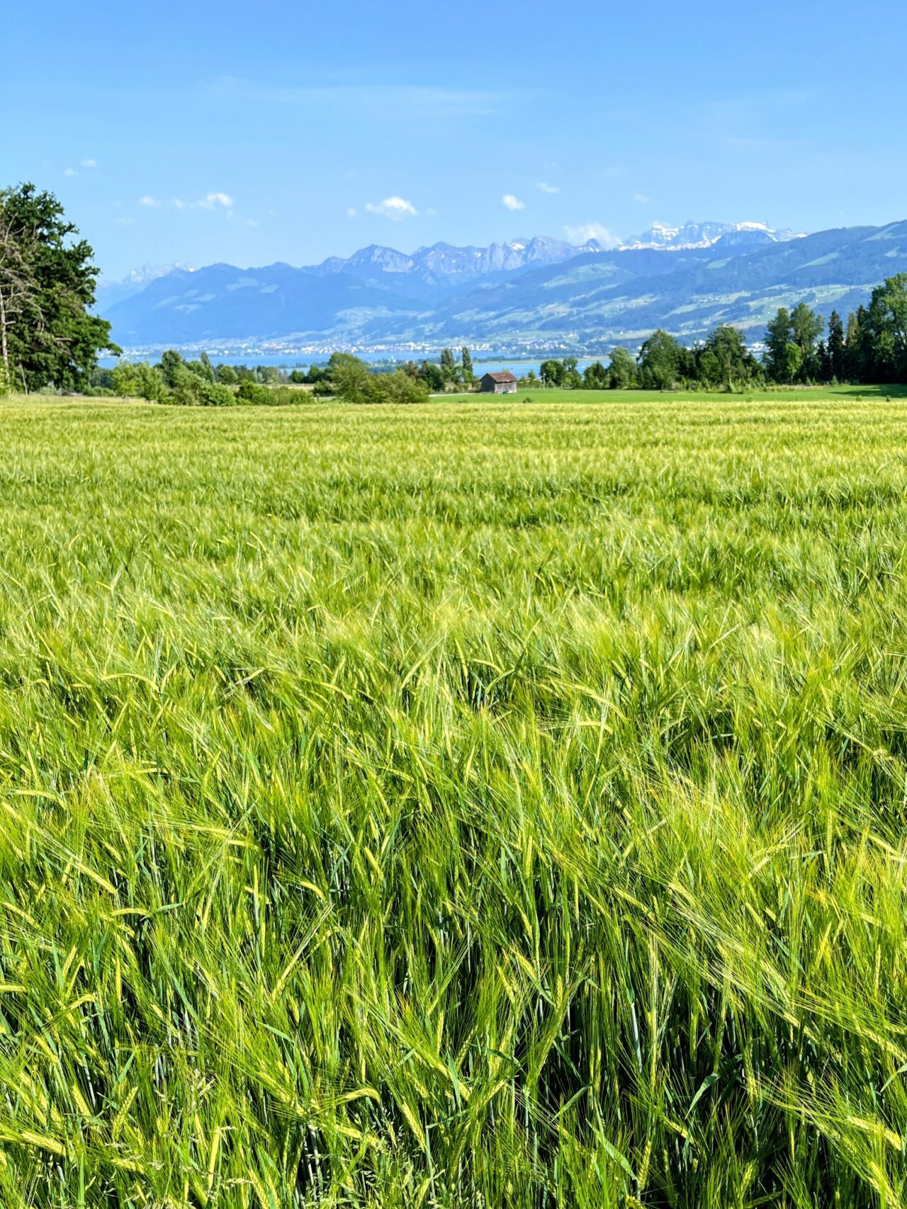 umrundung_zürichsee_schmerikon_stäfa_