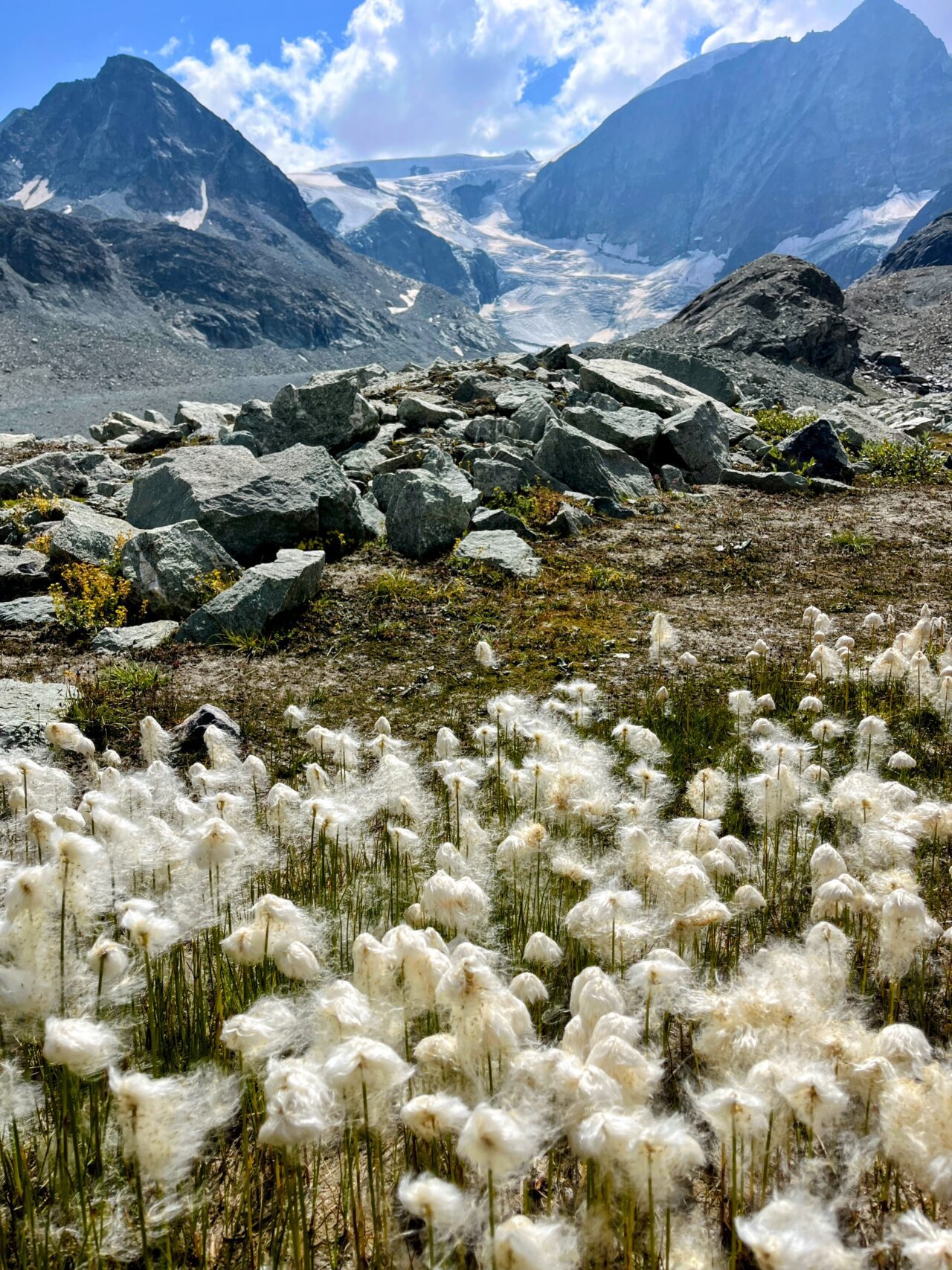 wanderung_alpenpaesseweg_etappe_27_arolla_cabane_de_dix_