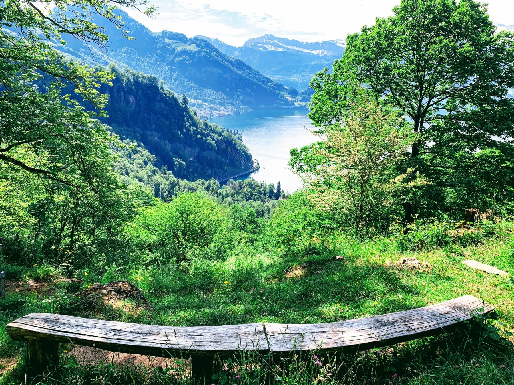 wanderung_waldstaetterweg_vitznau_kuesnacht_am_rigi_