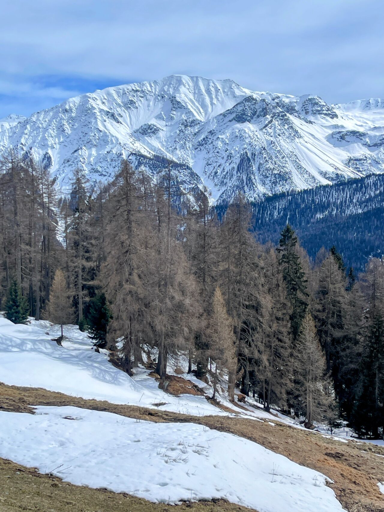 winterwanderung_lü_santa_maria__IMG_8507