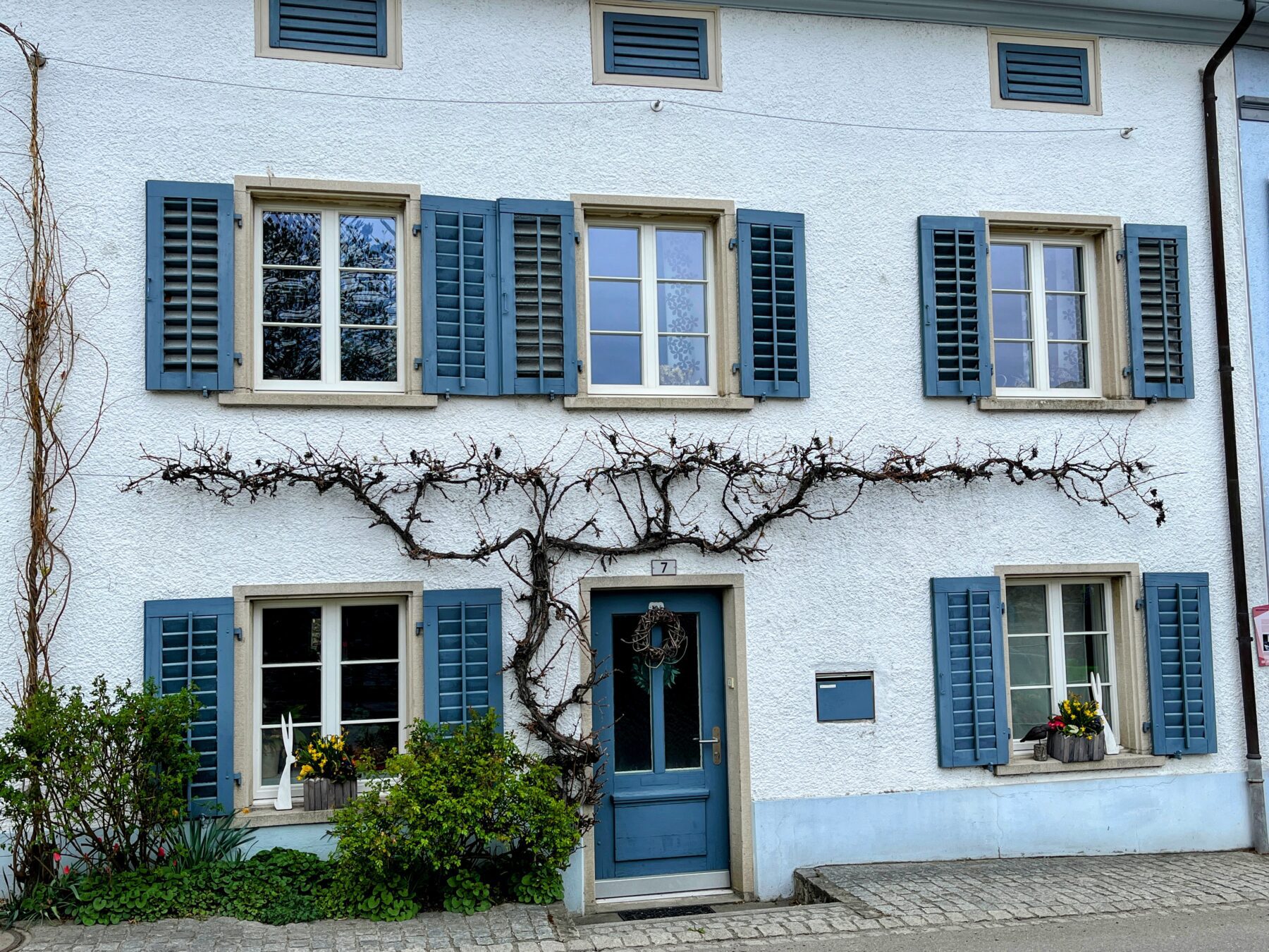 wanderung_rheinau_rheinfall_schaffhausen_