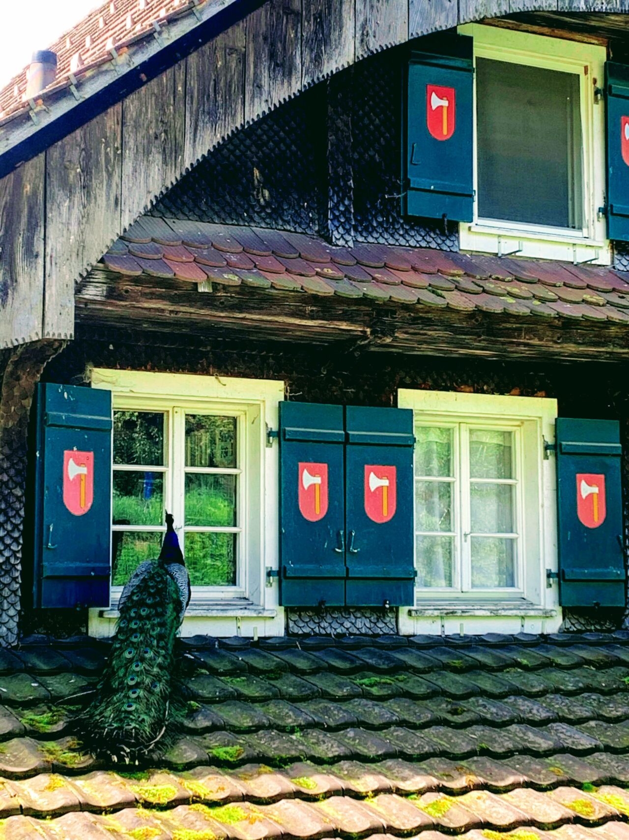wanderung_waldstaetterweg_vitznau_kuesnacht_am_rigi_