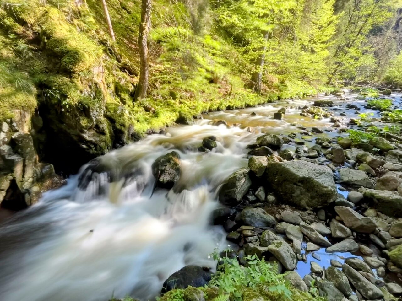 wanderung_schluchtensteig_schwarzwald_