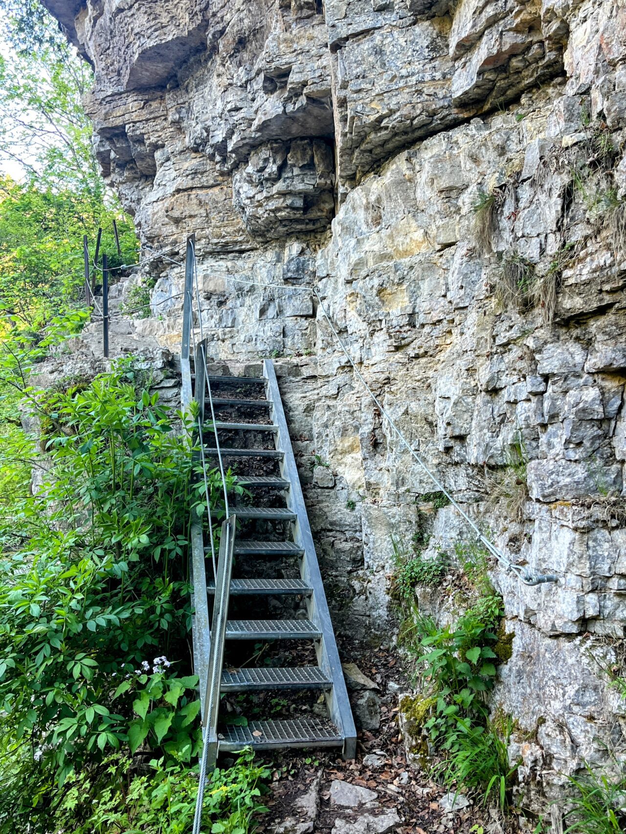 wanderung_schluchtensteig_schwarzwald_