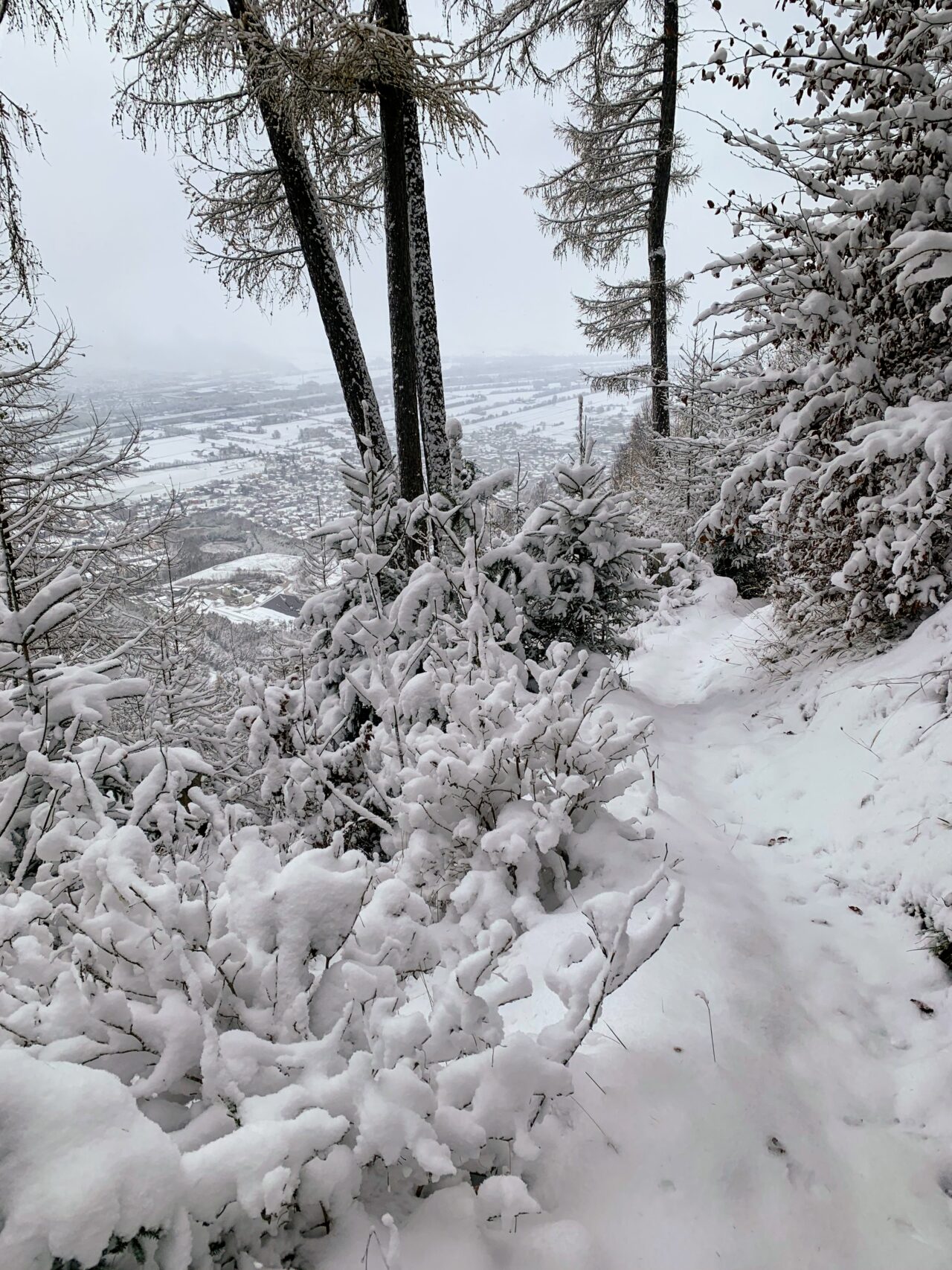 via_alpina_etappe_1_gaflei_sargans_